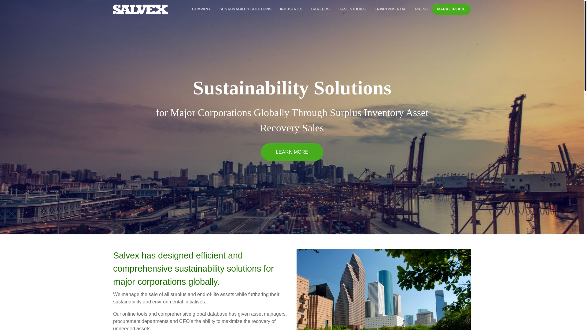 website screenshot of https://www.aboutsalvex.com/