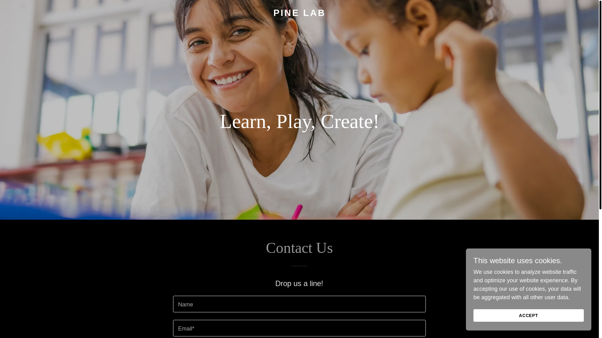 website screenshot of https://pinelab.co.nz/