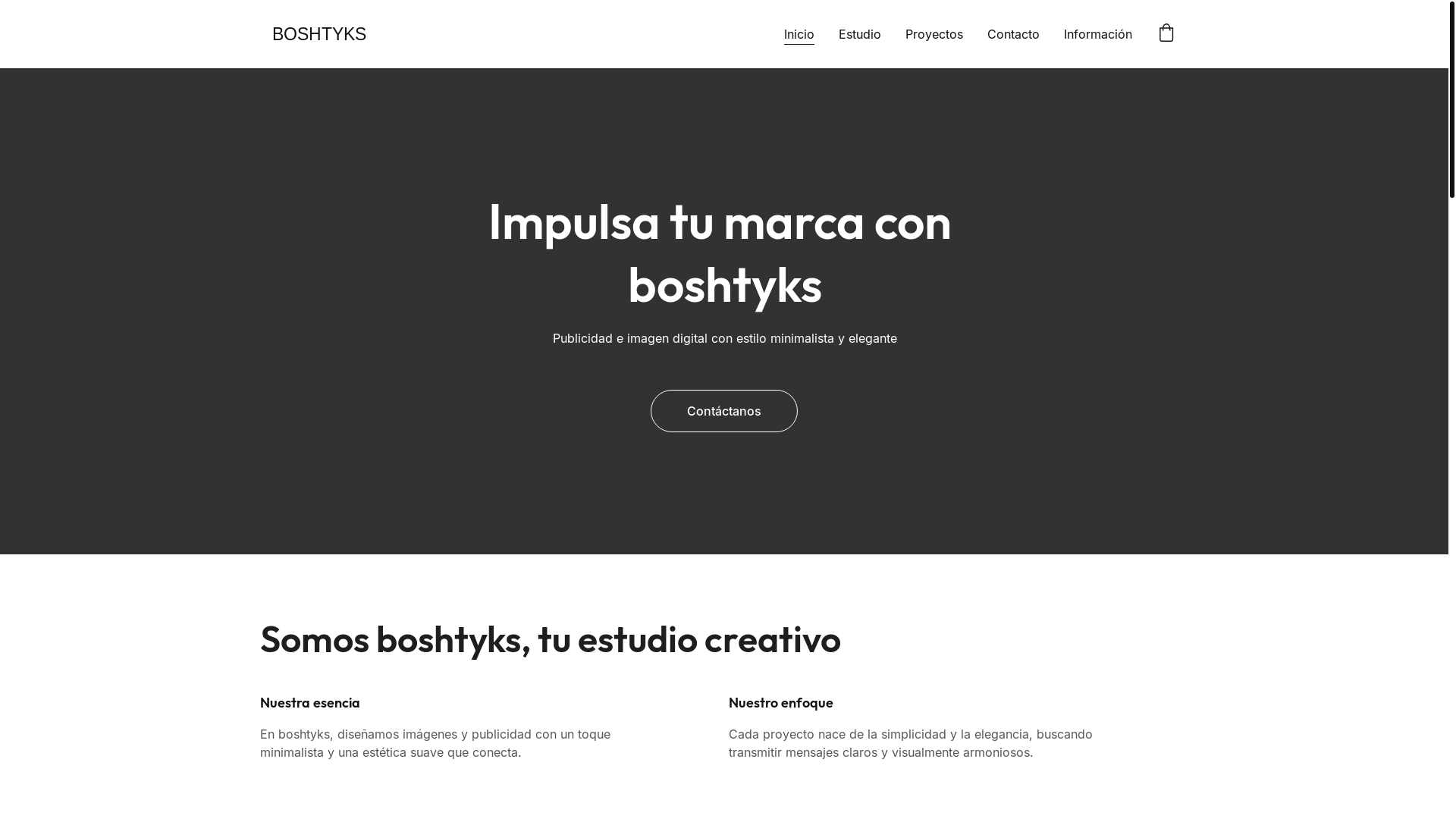 website screenshot of https://boshtyksmx.com/