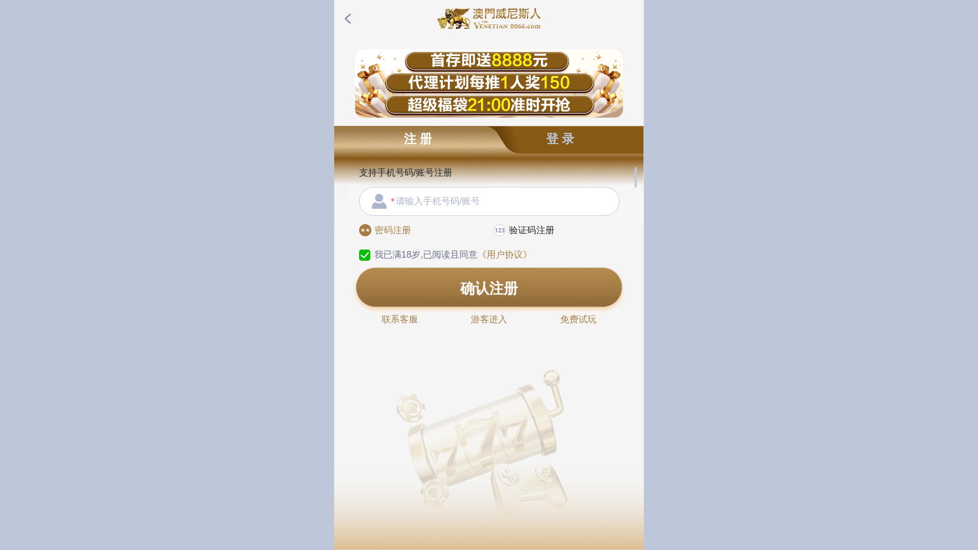 website screenshot of https://vns73041.top