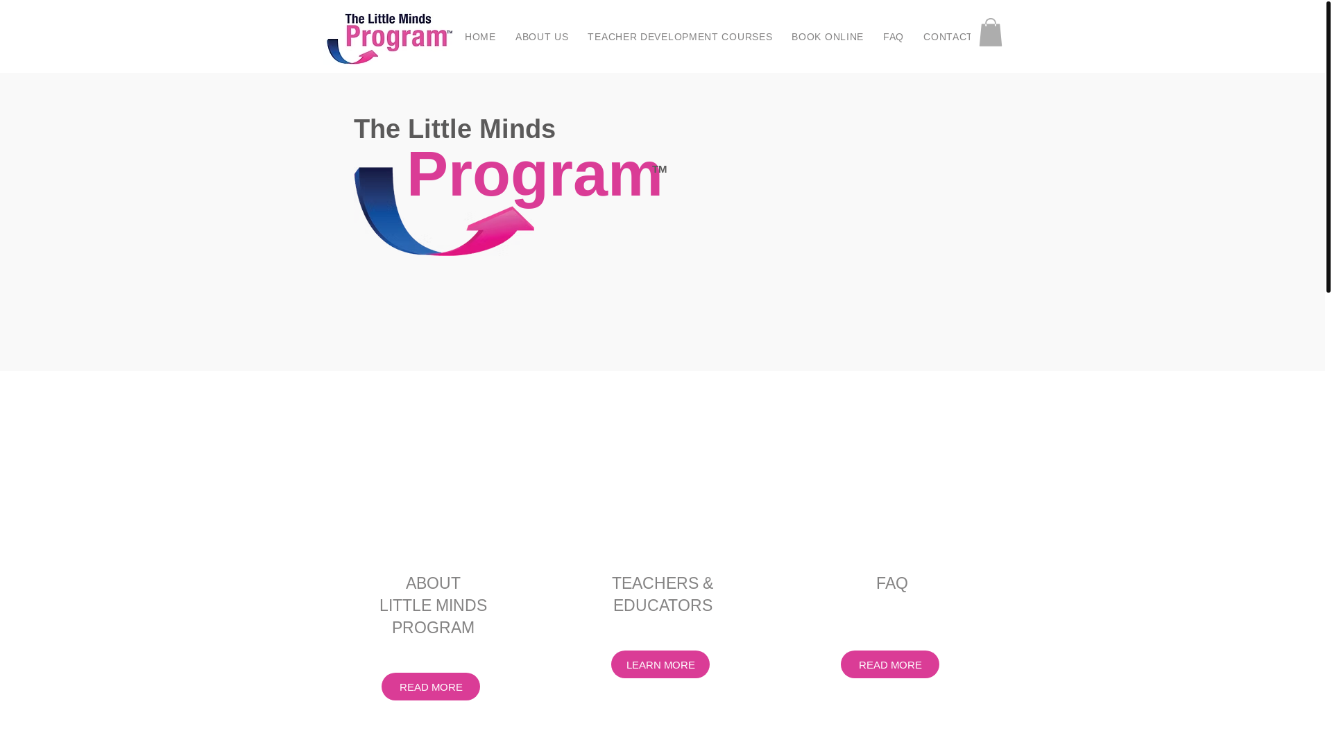 website screenshot of https://thelittlemindsprogram.online/