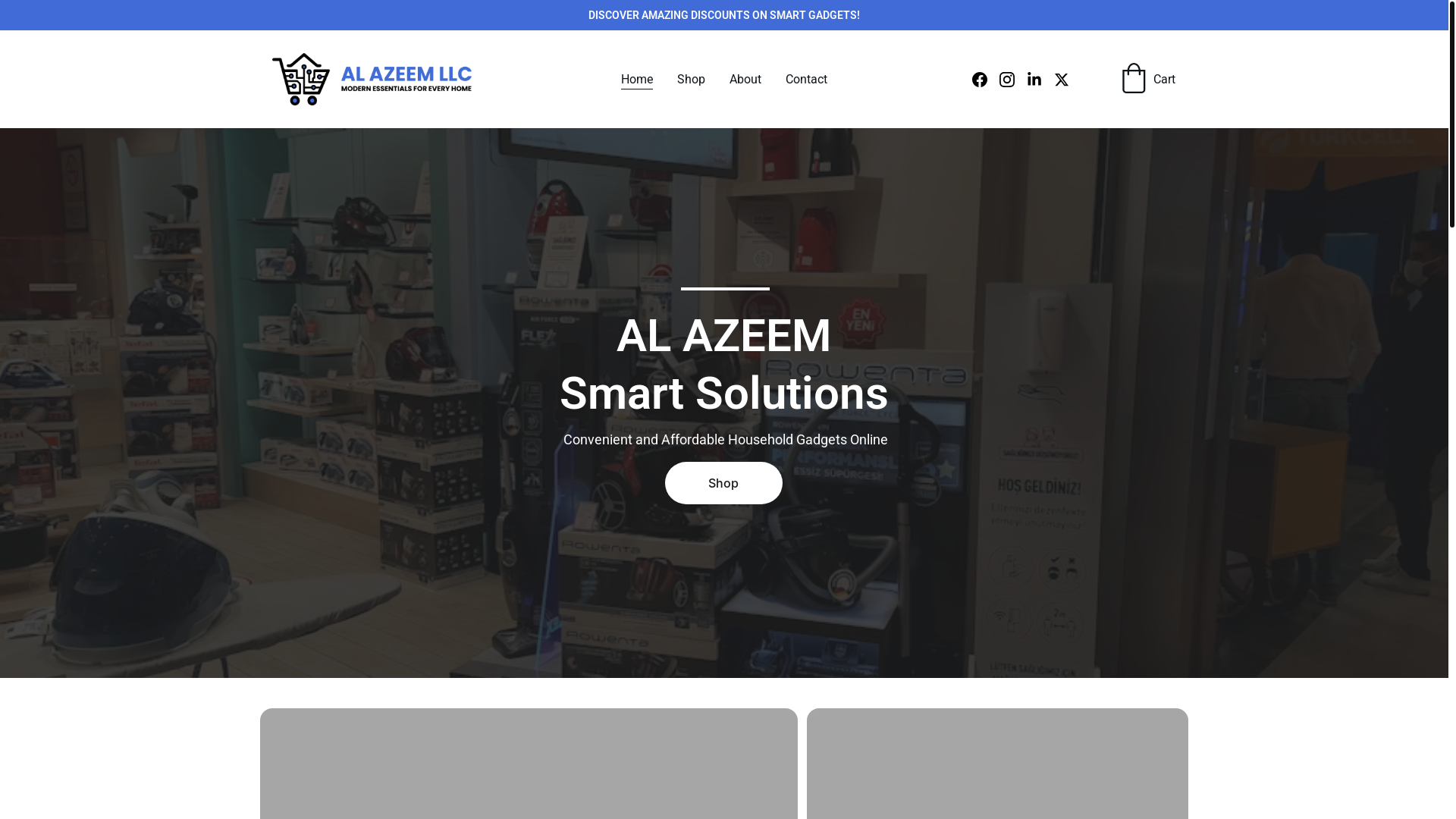 website screenshot of https://alazeemllc.com/