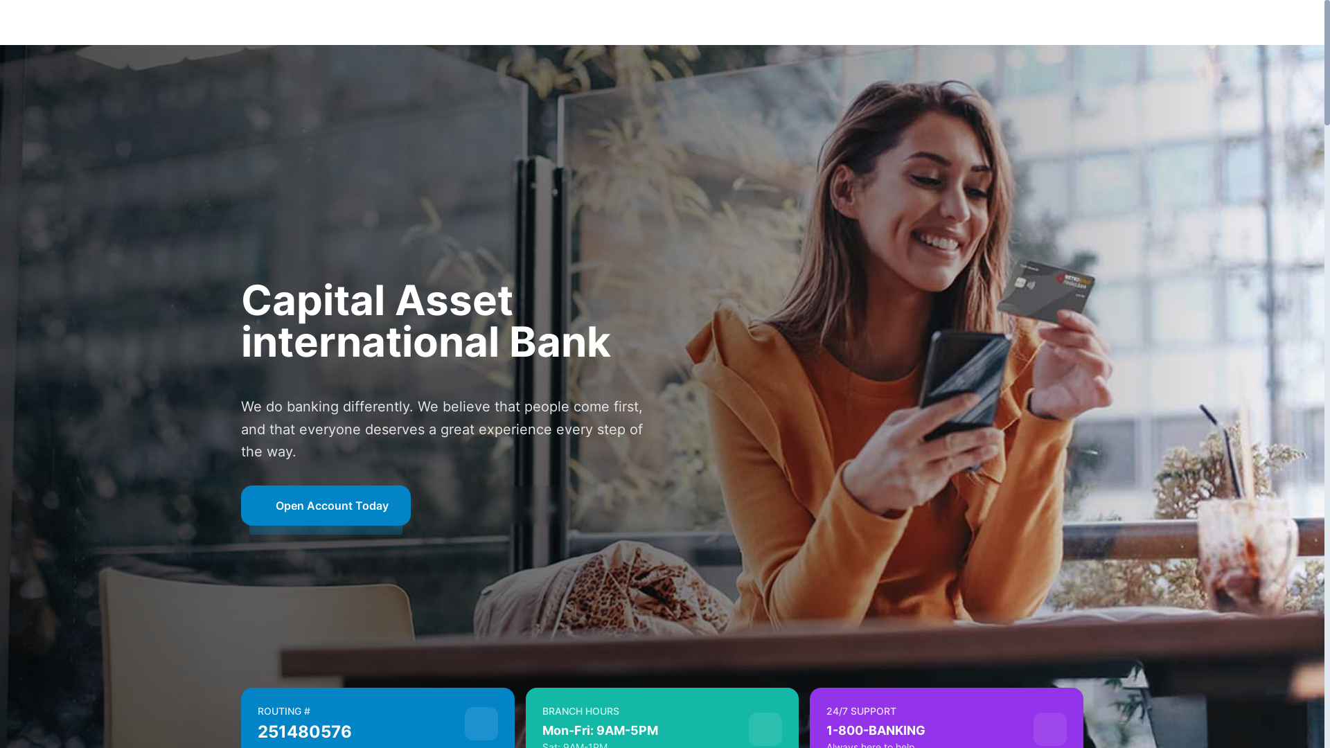 website screenshot of http://dana-asset.online/