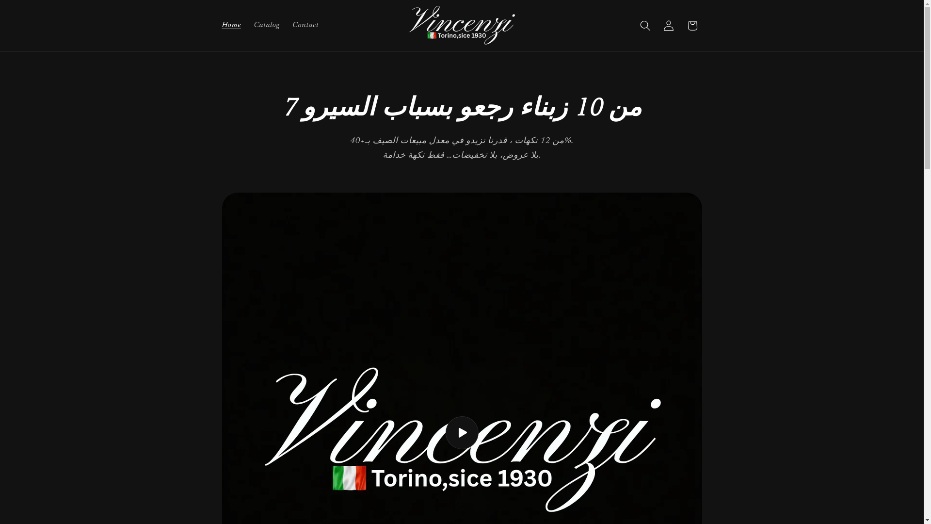 website screenshot of https://vincenzi.store/