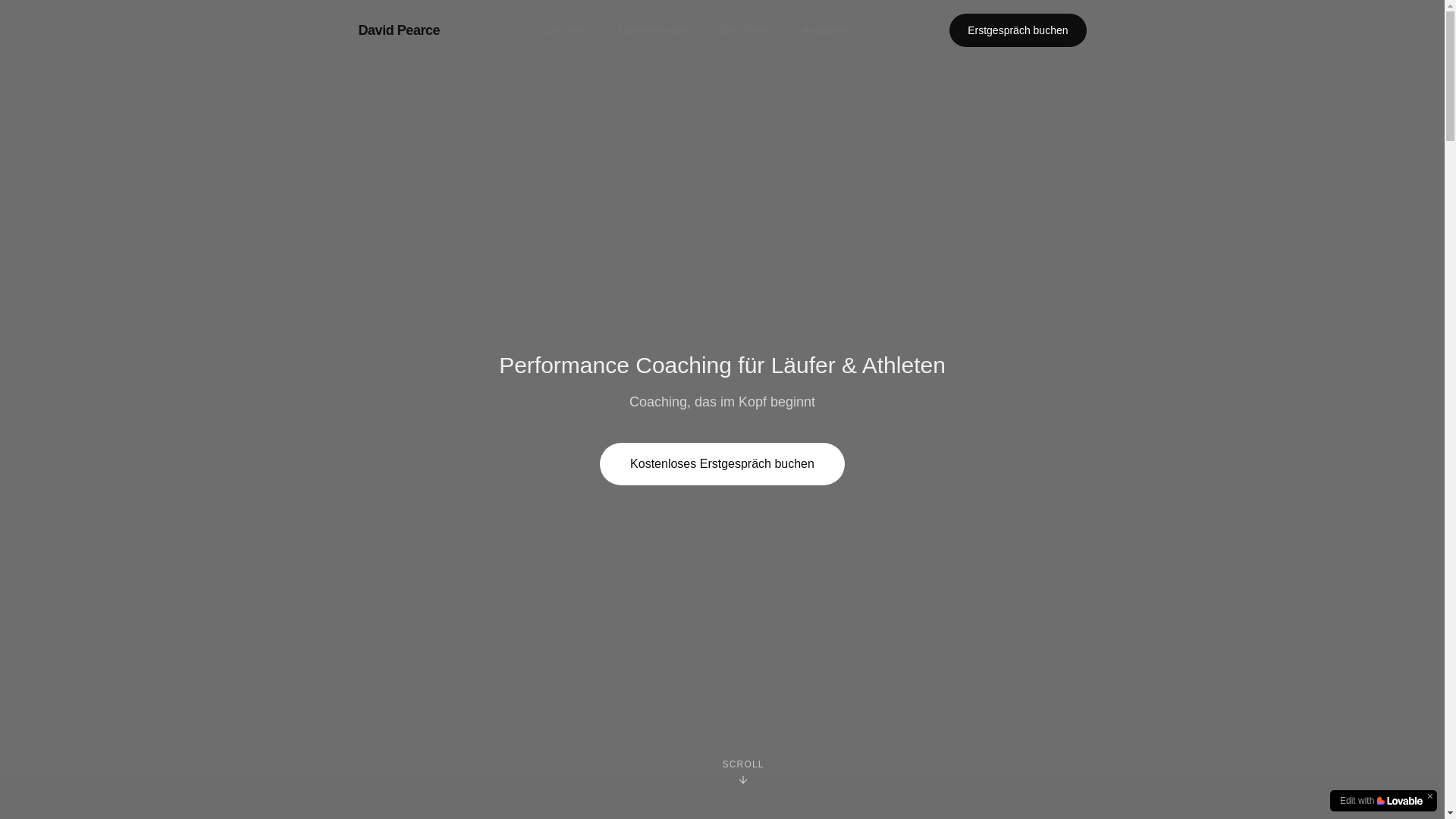 website screenshot of https://davidpearce.de/