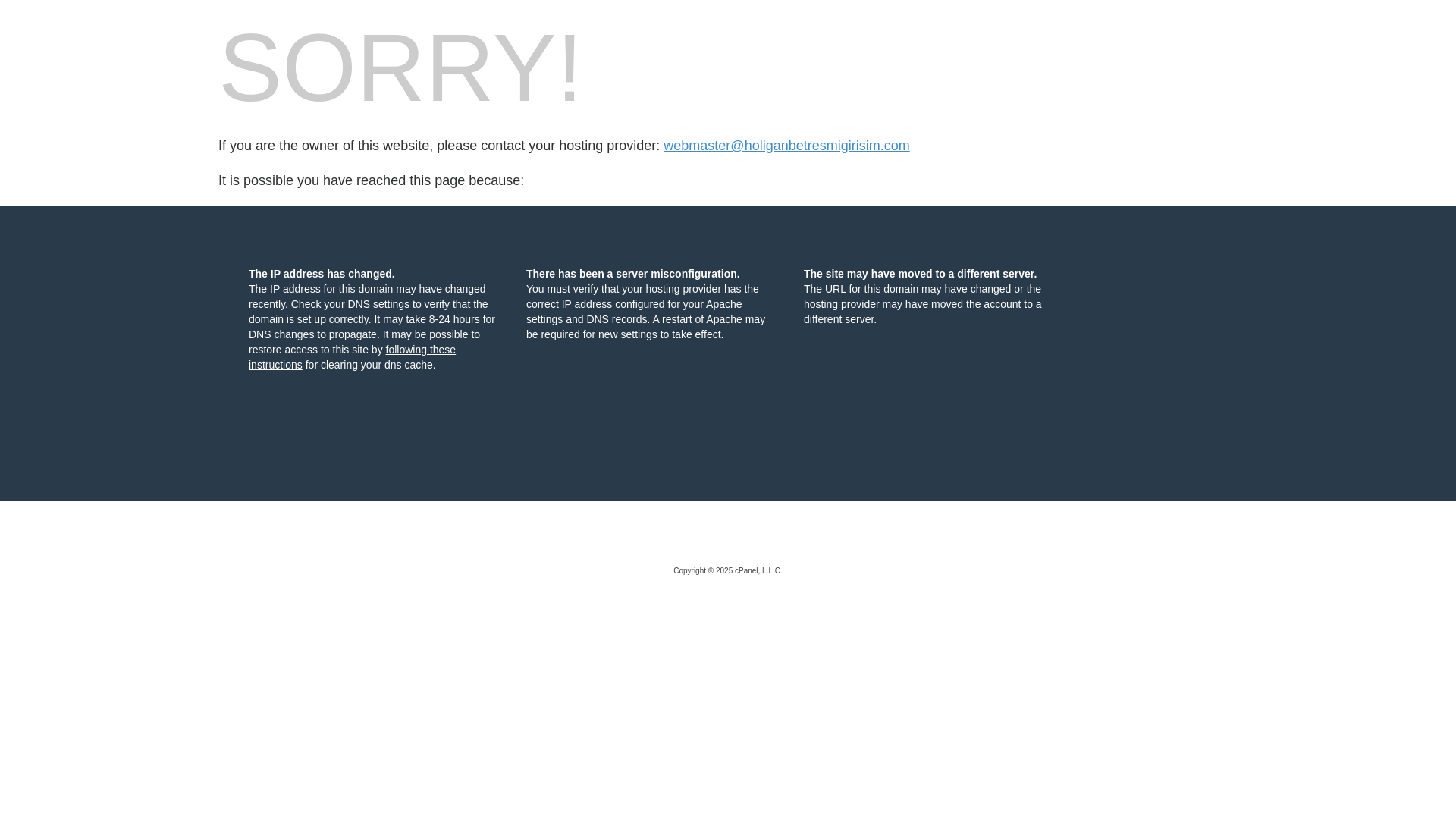 website screenshot of https://holiganbetresmigirisim.com/