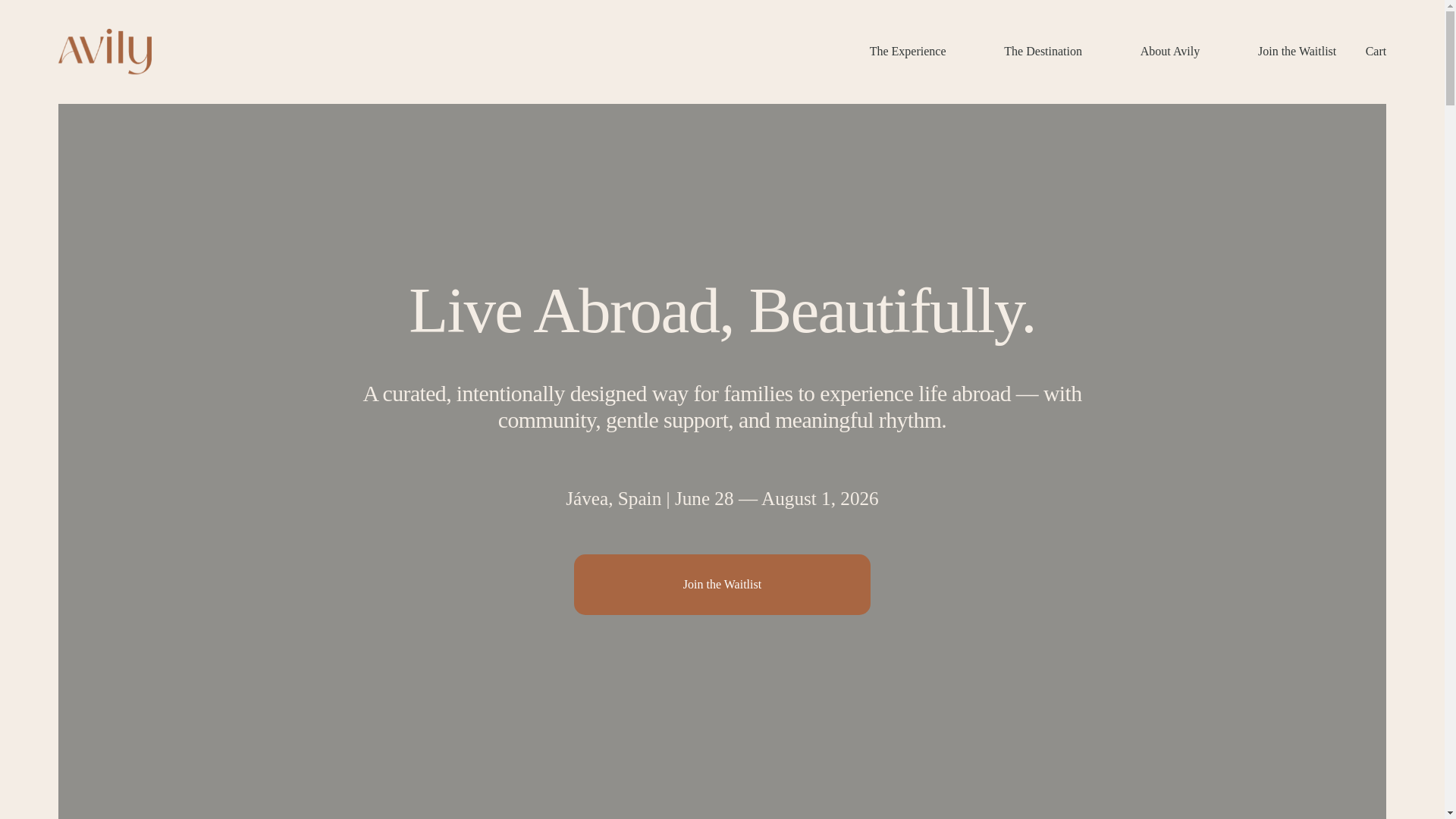 website screenshot of https://avilyabroad.com/