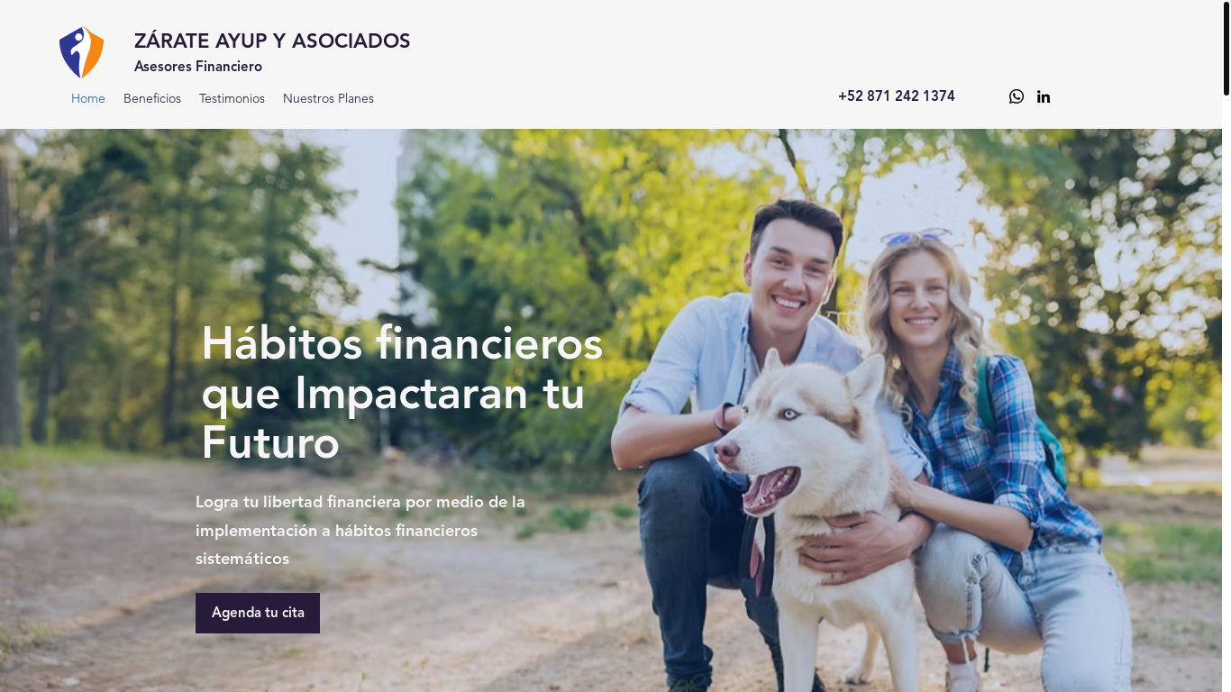 website screenshot of https://zarateayupasociados.com/
