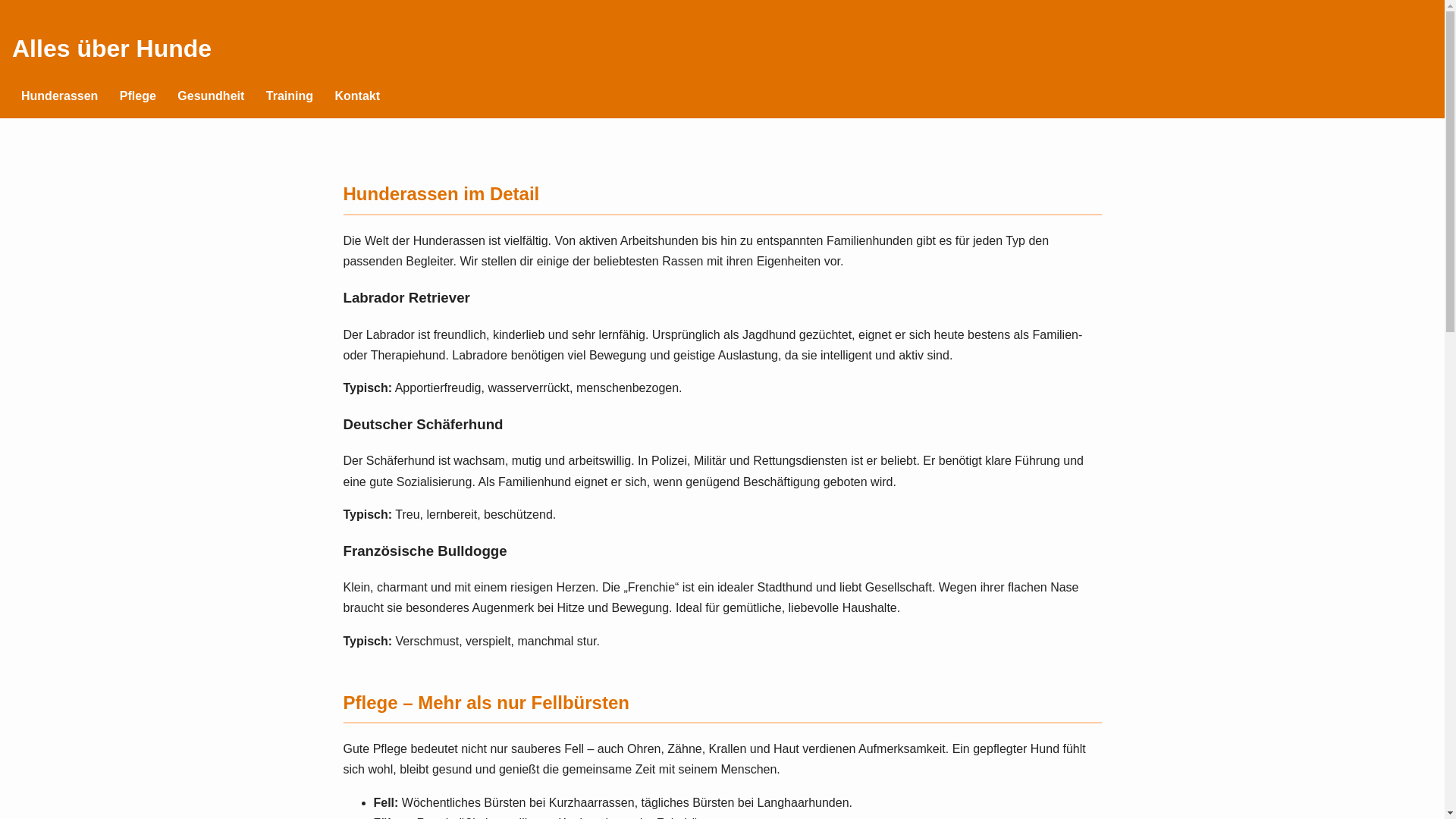website screenshot of https://smart-aktieninvest.click/