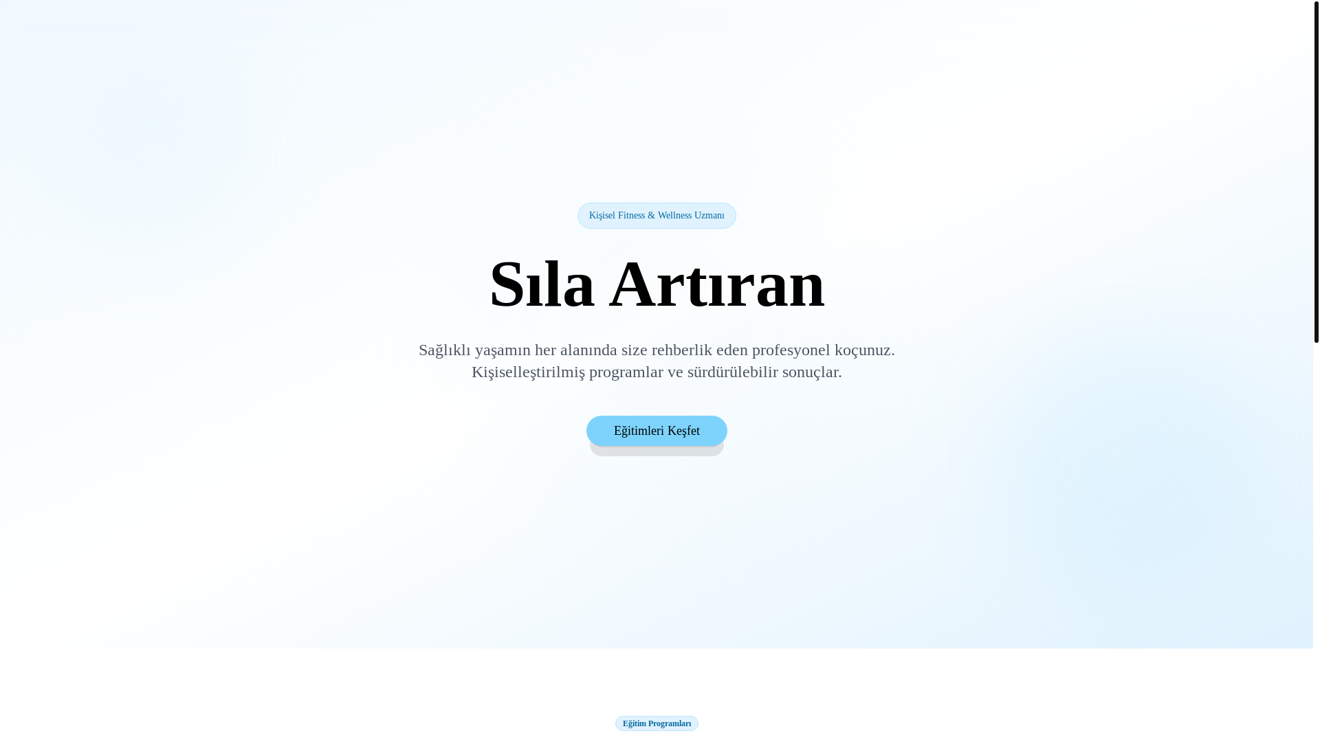 website screenshot of https://silartiran.com/