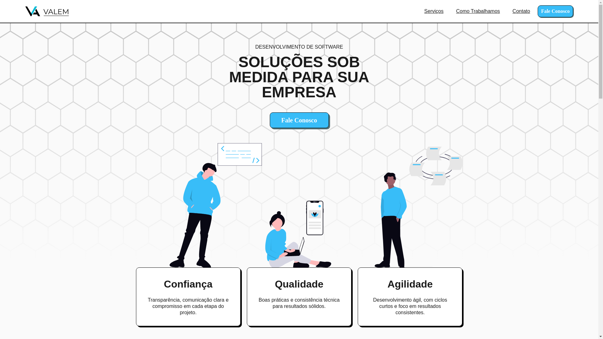 website screenshot of https://valemsolutions.com.br/