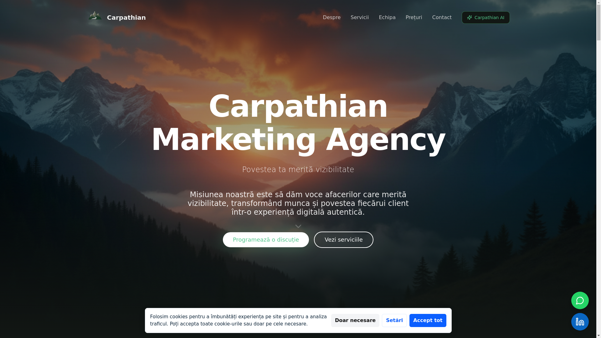 website screenshot of https://carpathian-marketing-agency.ro/
