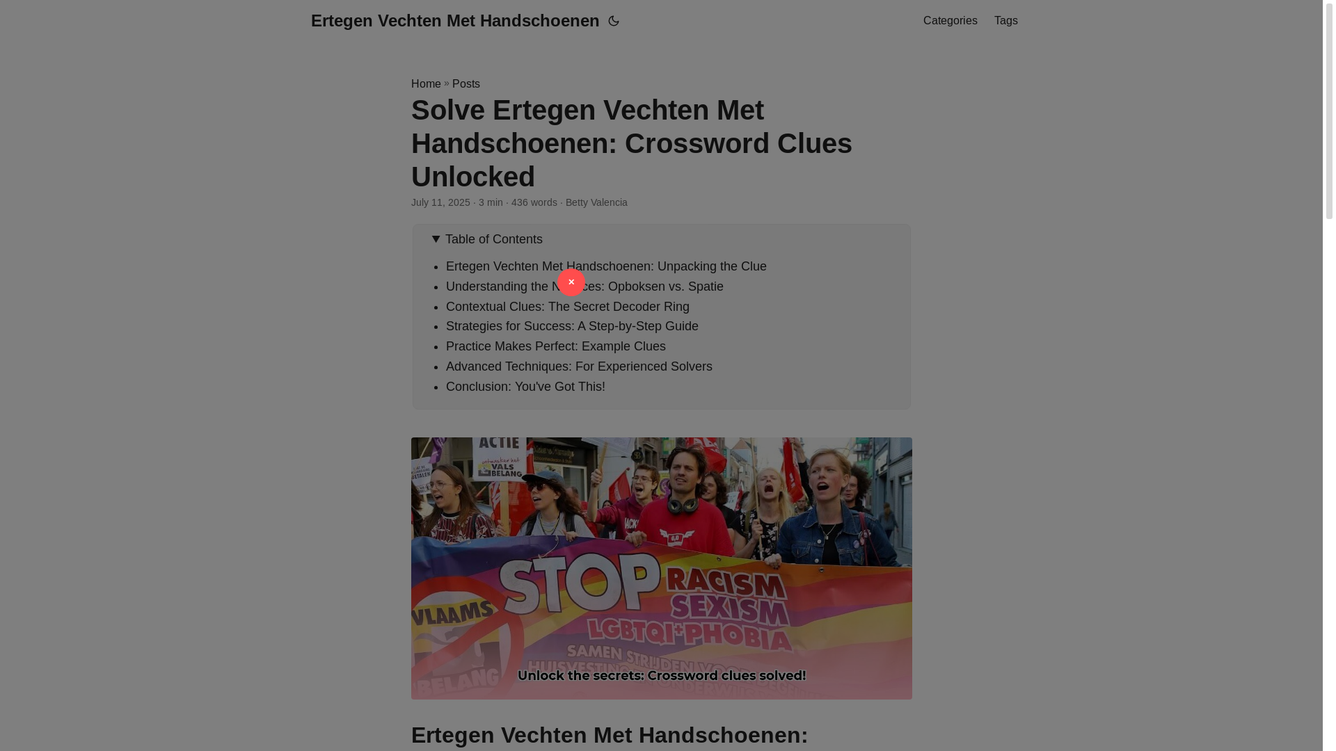 website screenshot of https://ertegen-vechten-met-handschoenen.pages.dev/