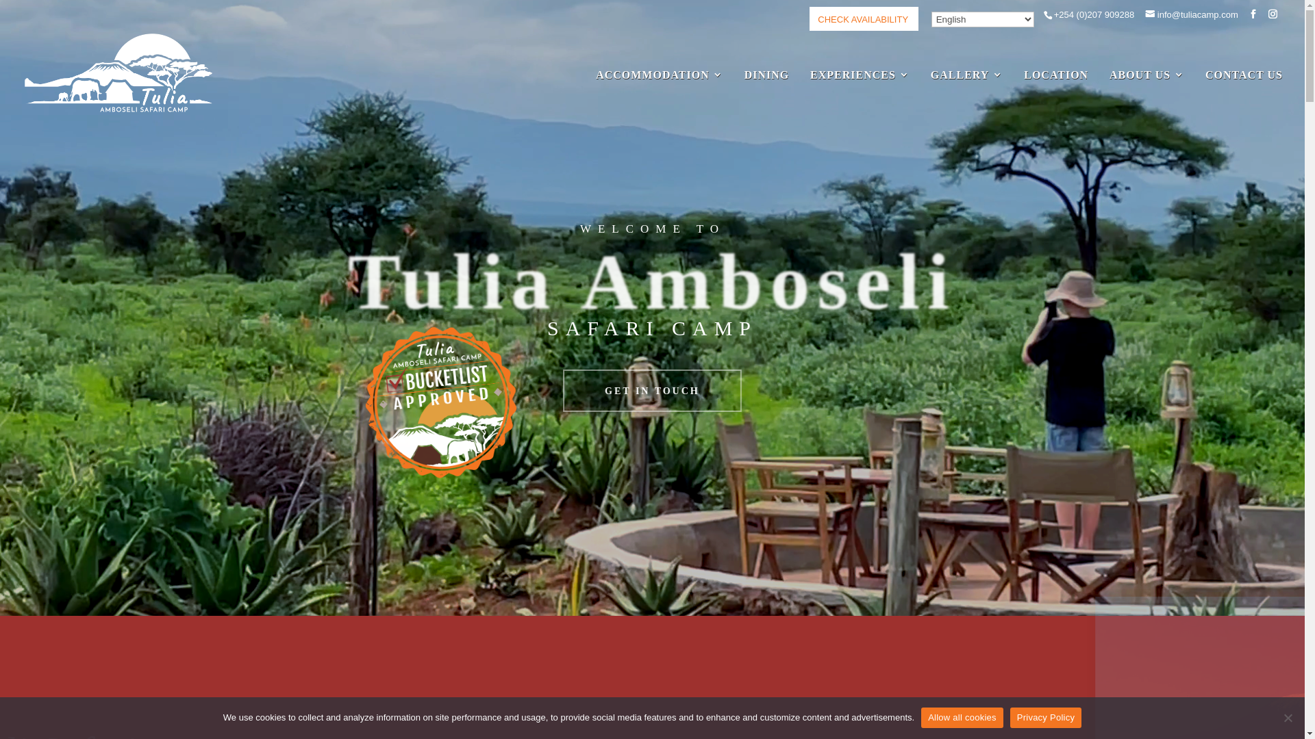 website screenshot of https://tuliacamps.com/