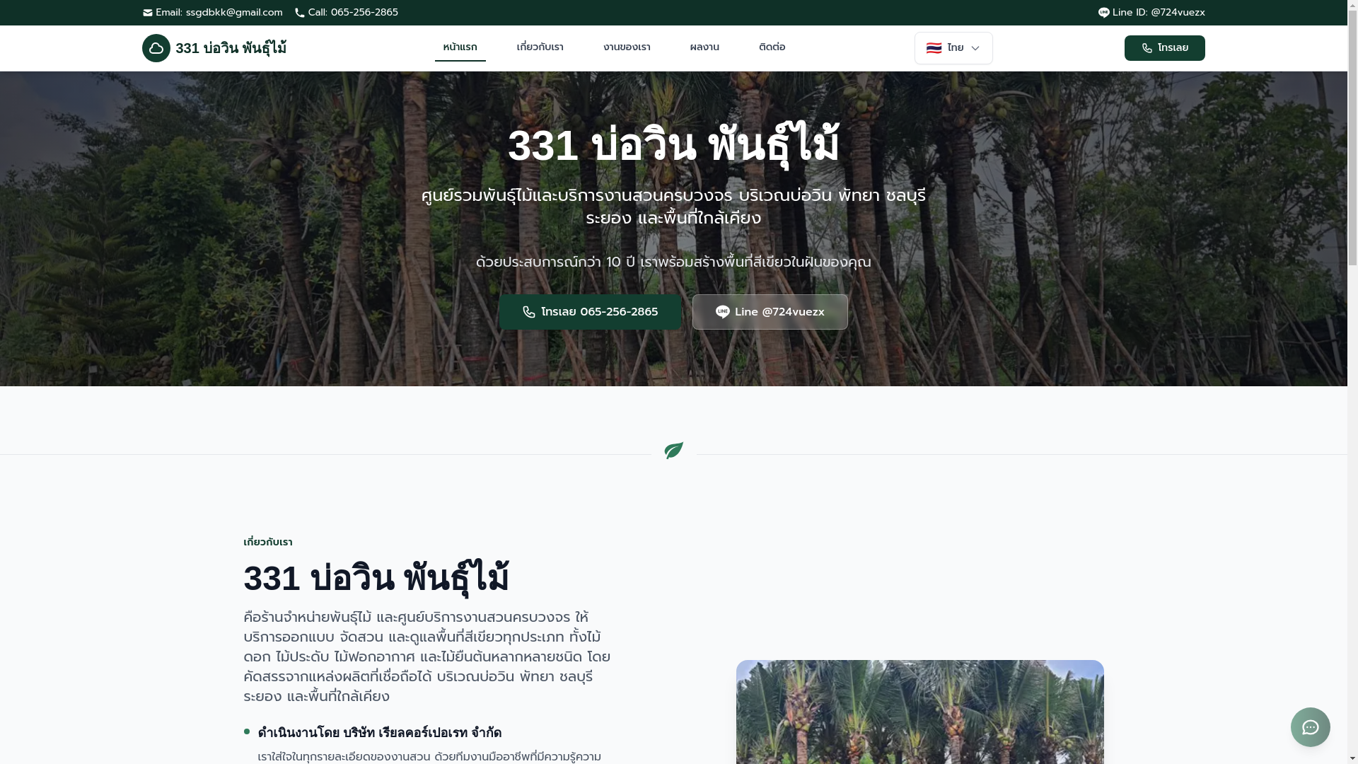 website screenshot of https://331bowinpanmai.com/