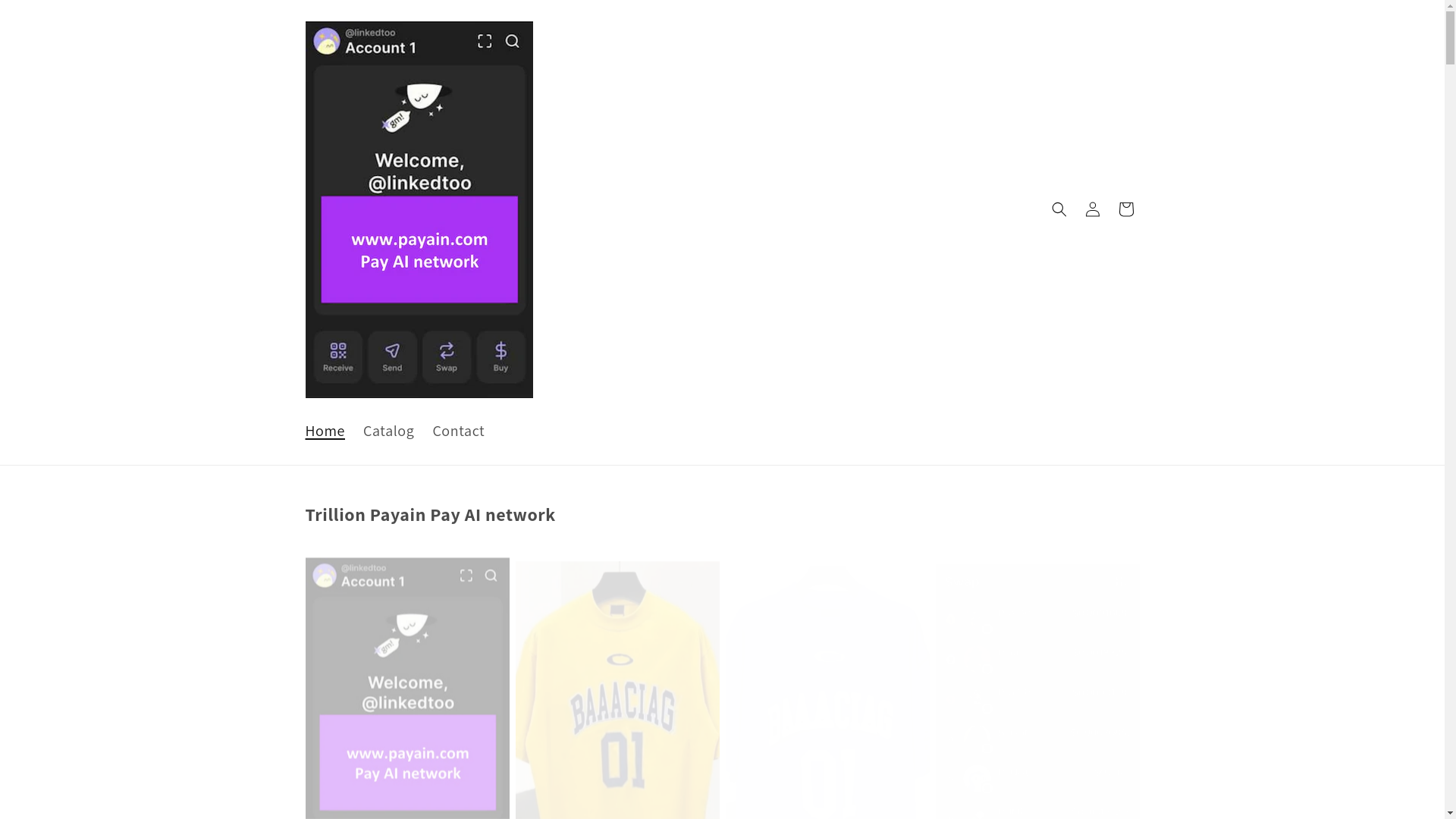 website screenshot of https://payain.com/