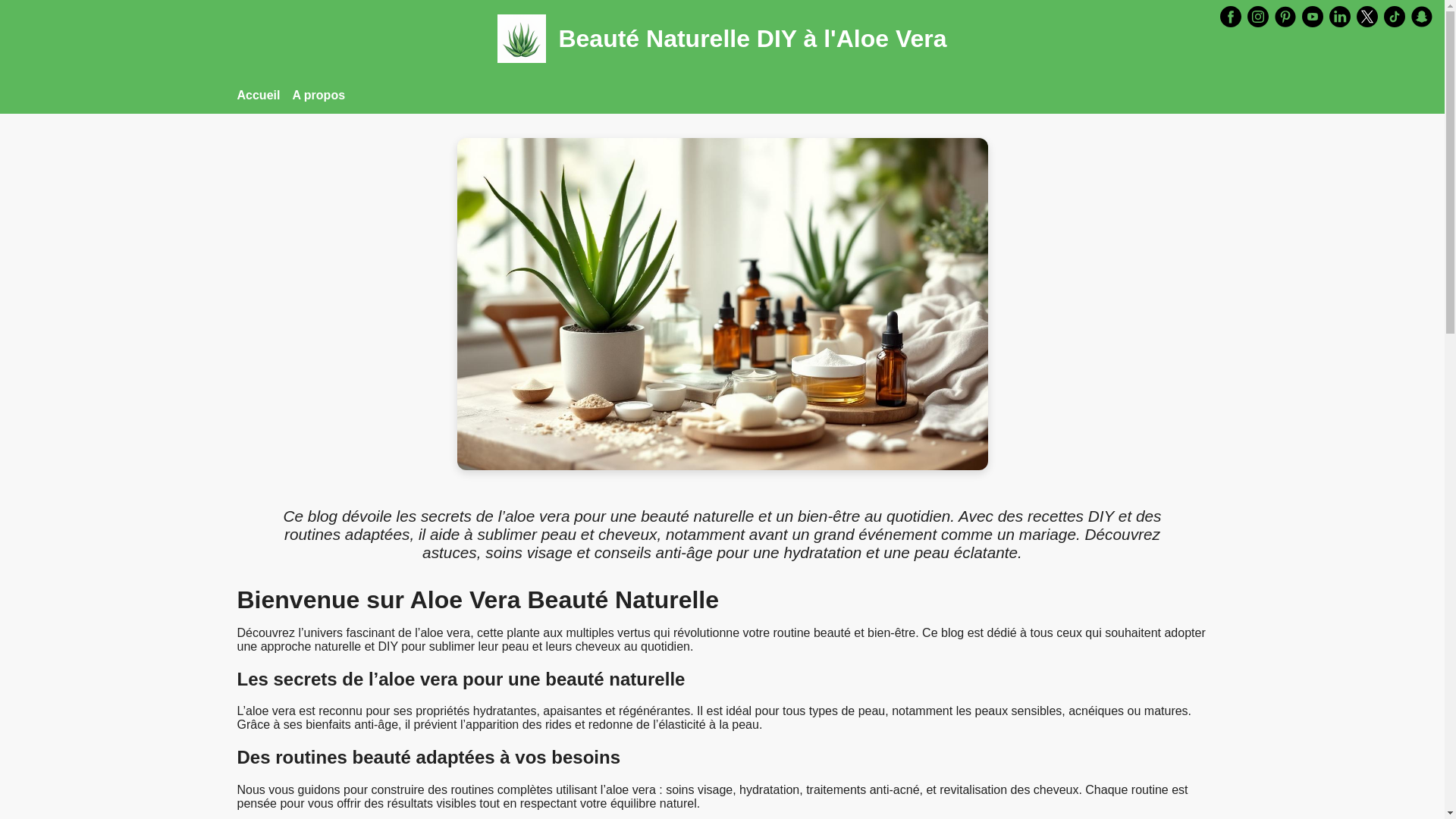 website screenshot of https://aloevera-sante-beaute-fr.pages.dev/