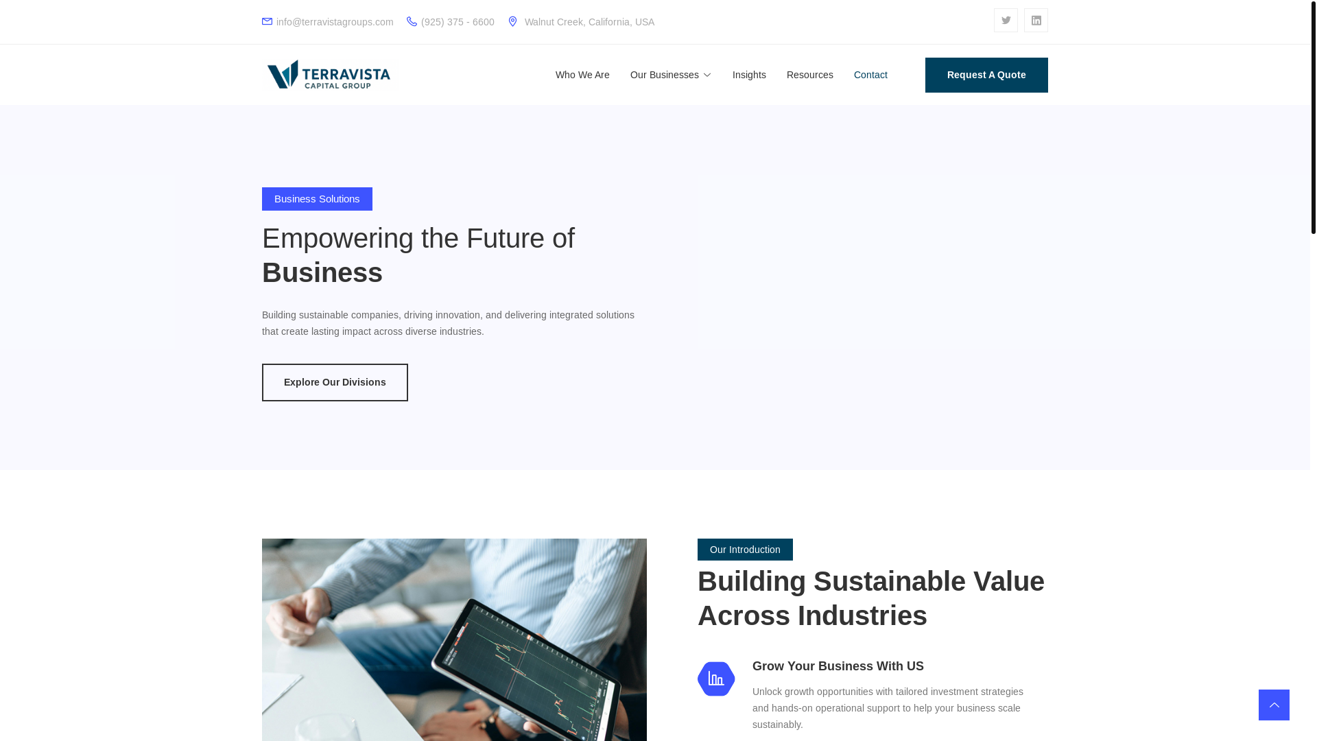 website screenshot of https://terravista-dsx.pages.dev/