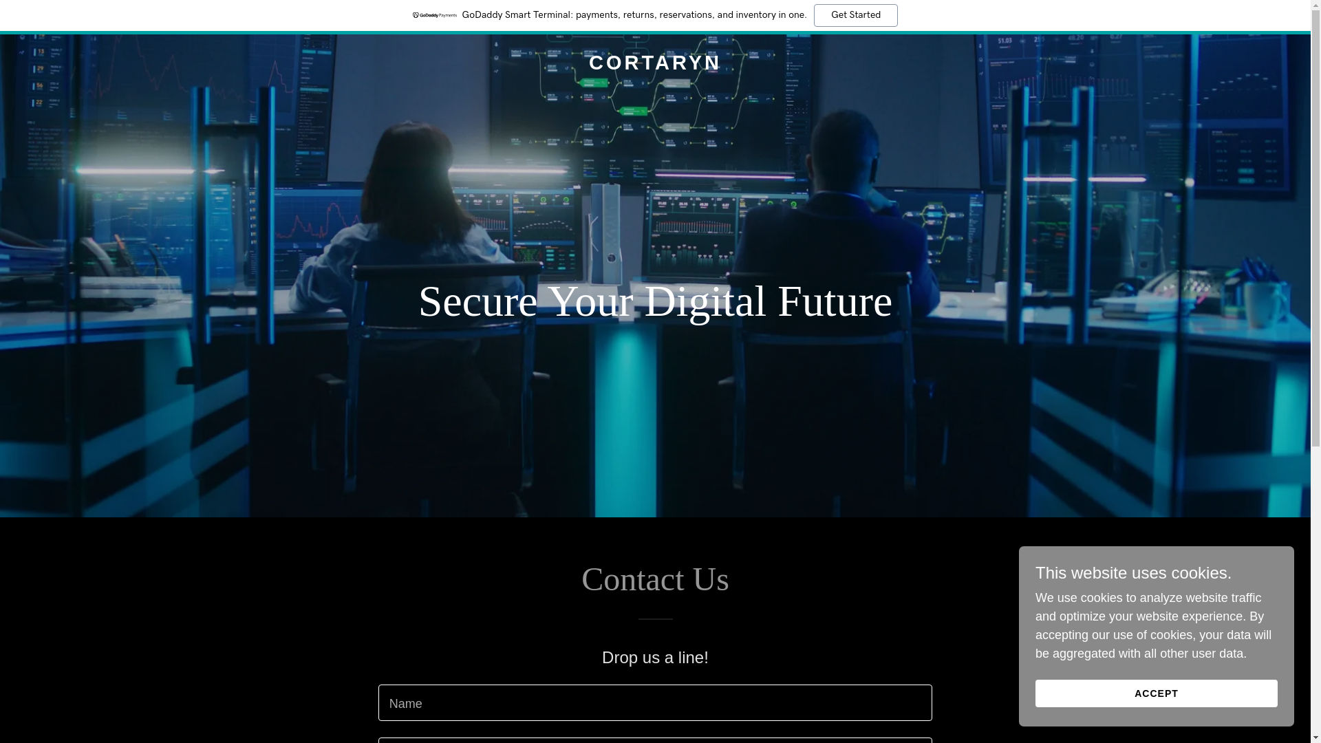 website screenshot of https://cortaryn.com/