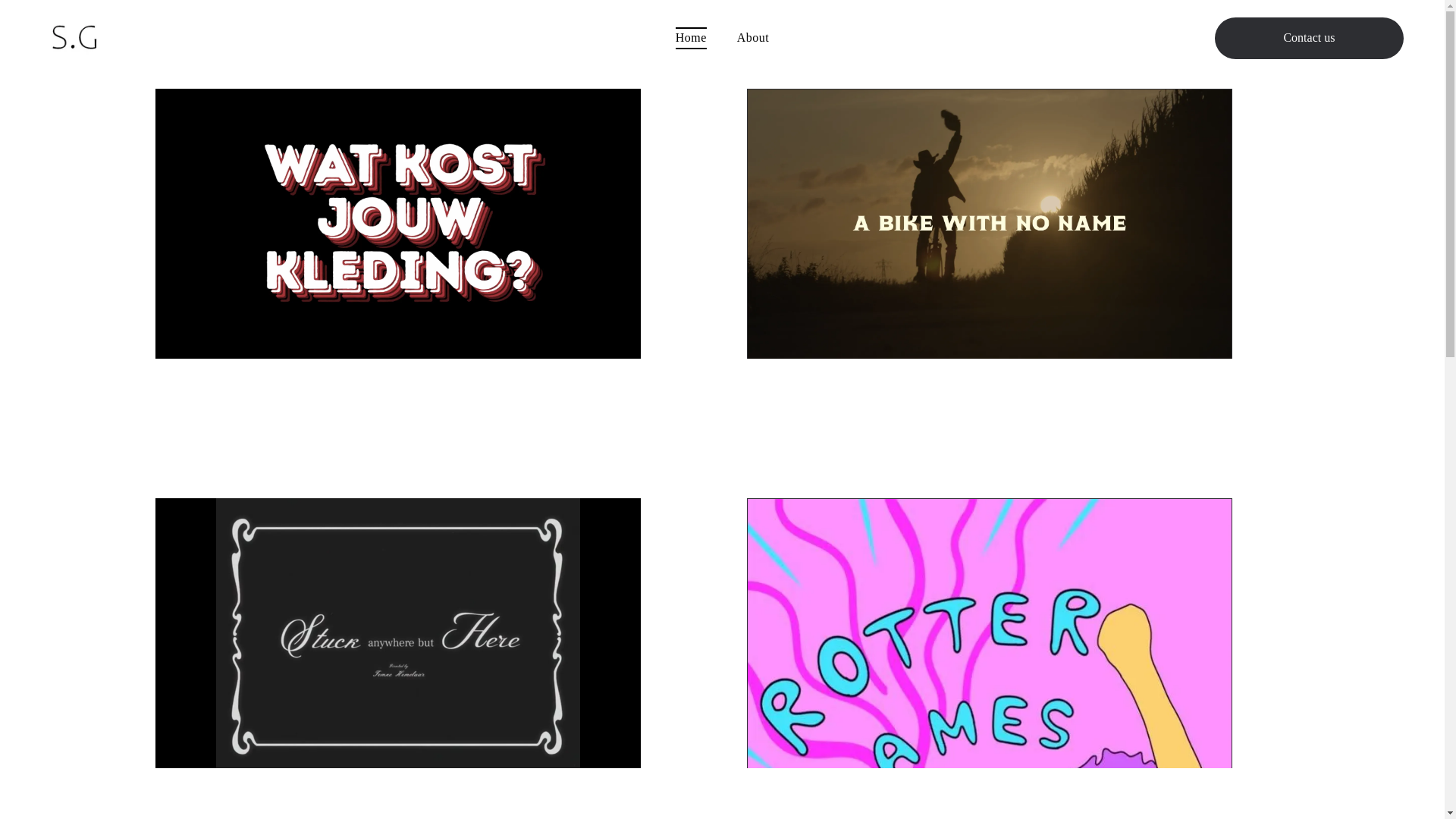 website screenshot of https://sannegreeve.nl/