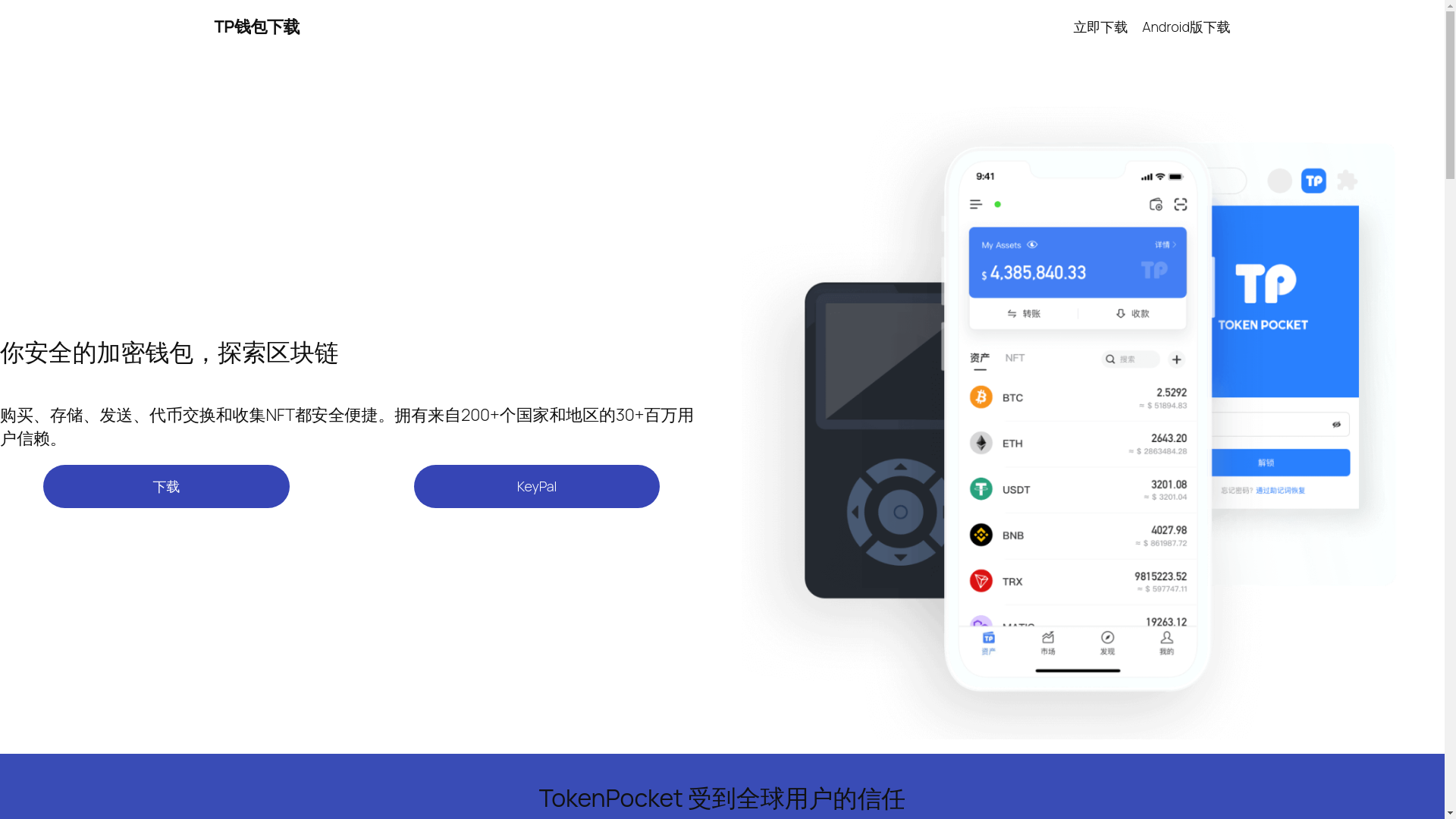 website screenshot of https://tokenpekeot.com.cn/