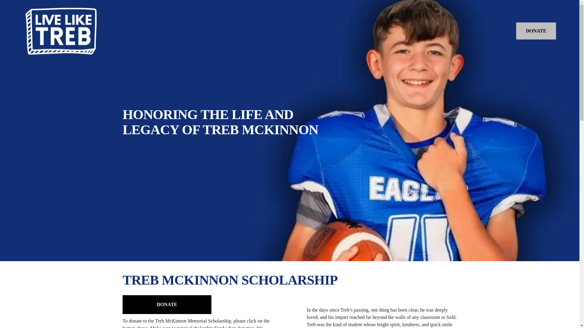 website screenshot of https://liveliketreb.com/