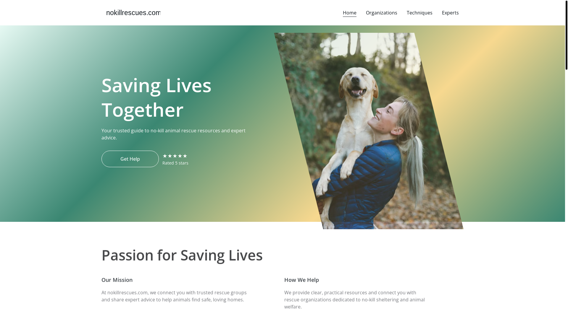 website screenshot of https://nokillrescues.com/