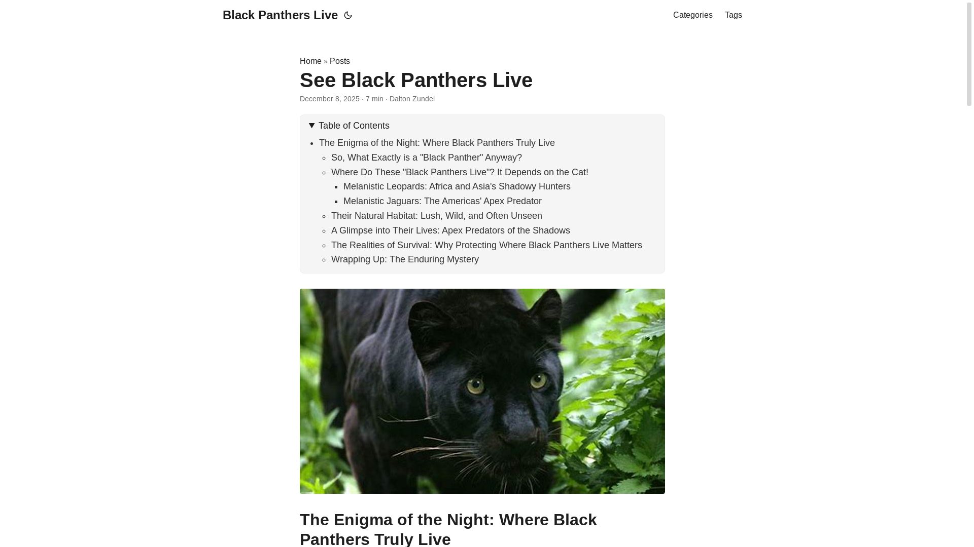 website screenshot of https://blackpantherslive.pages.dev/