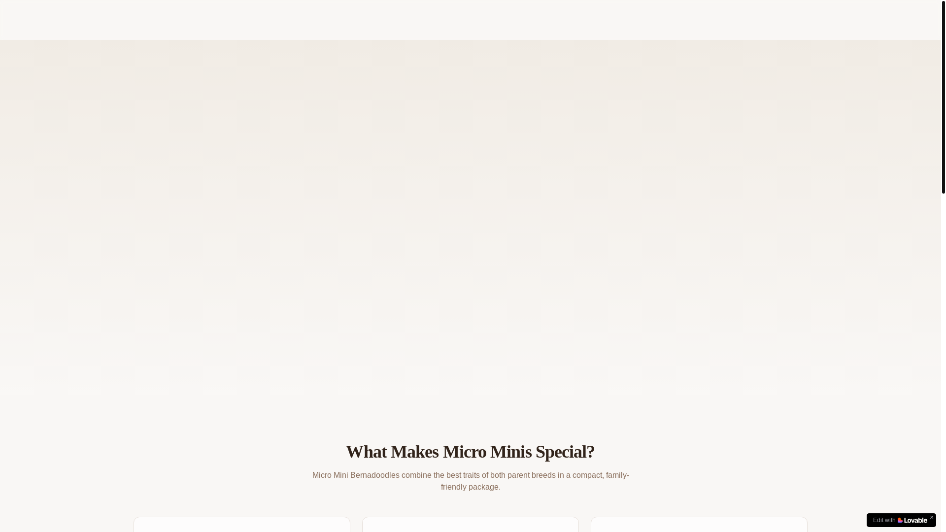 website screenshot of https://familyraisedbernadoddles.com/