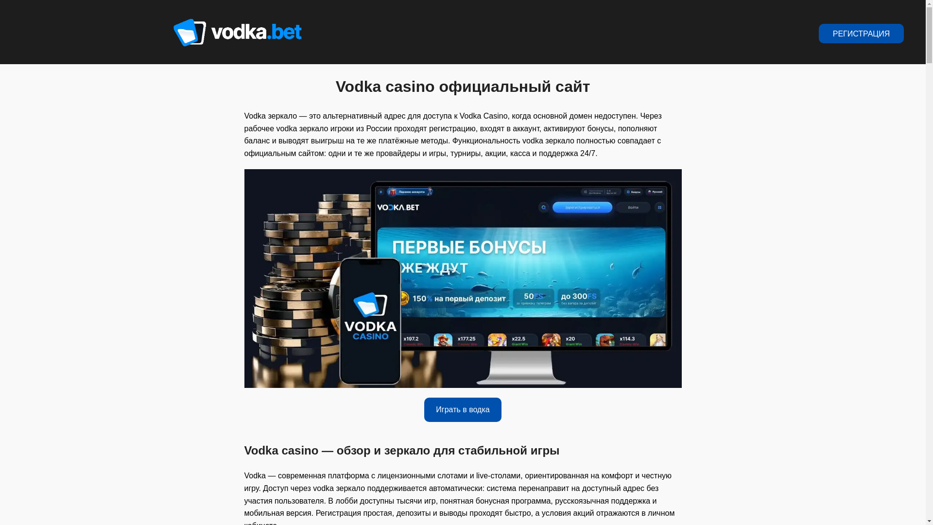 website screenshot of https://vodka002.top/