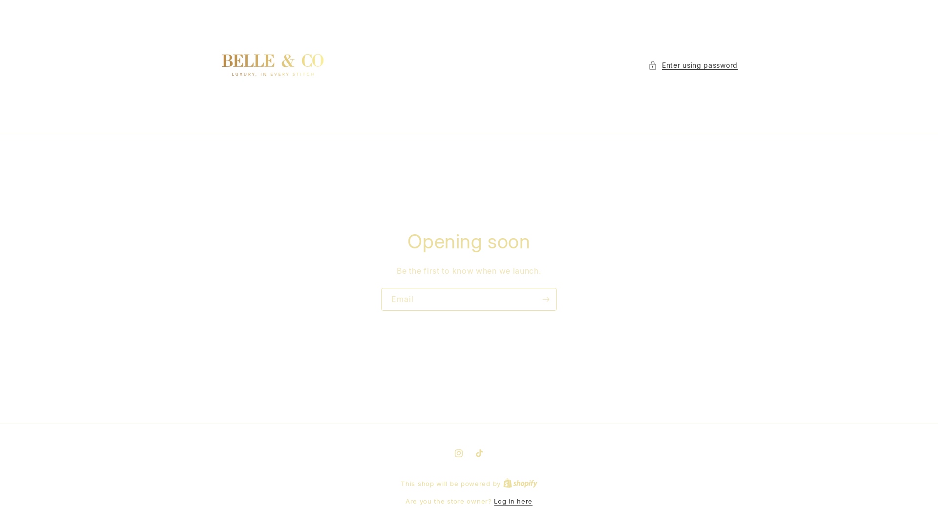 website screenshot of https://bellexco.com/