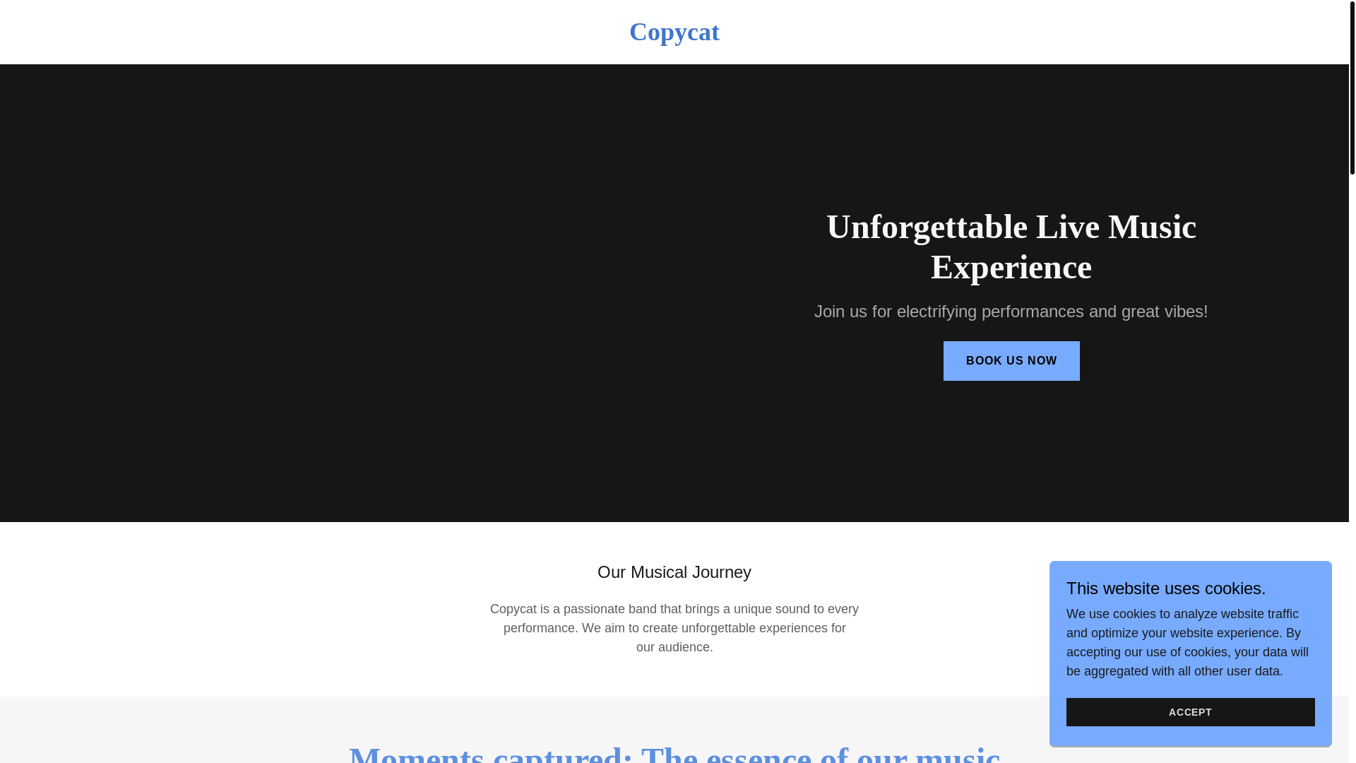 website screenshot of https://copycatband.net/