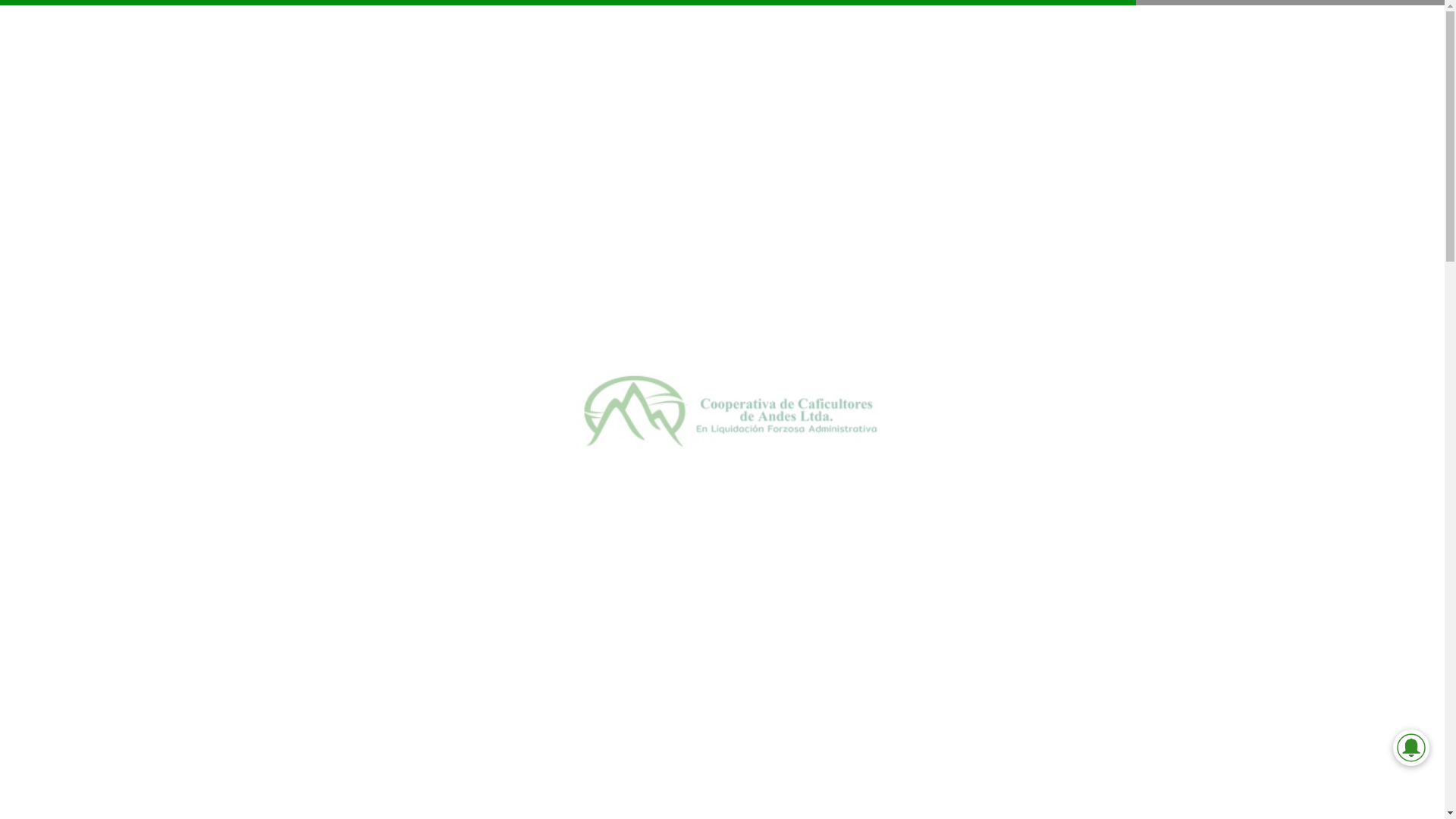 website screenshot of https://cooperandes.com