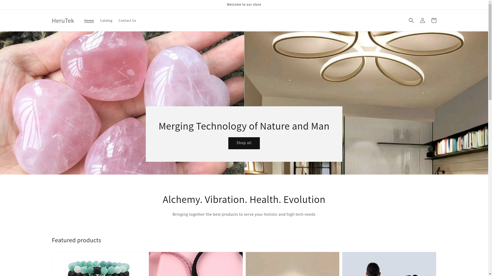 website screenshot of https://herutek.com/