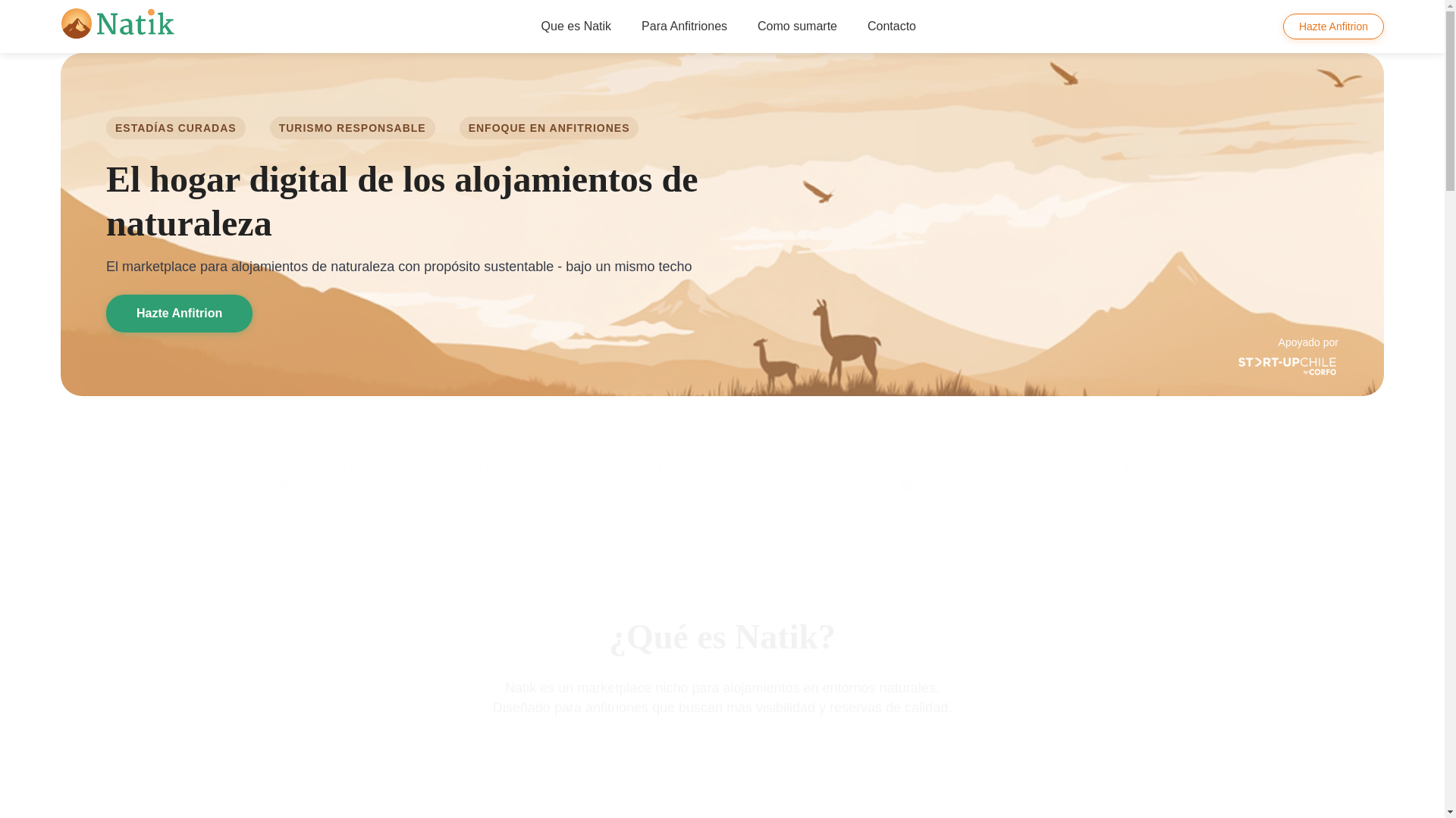 website screenshot of https://natik-landing.pages.dev/