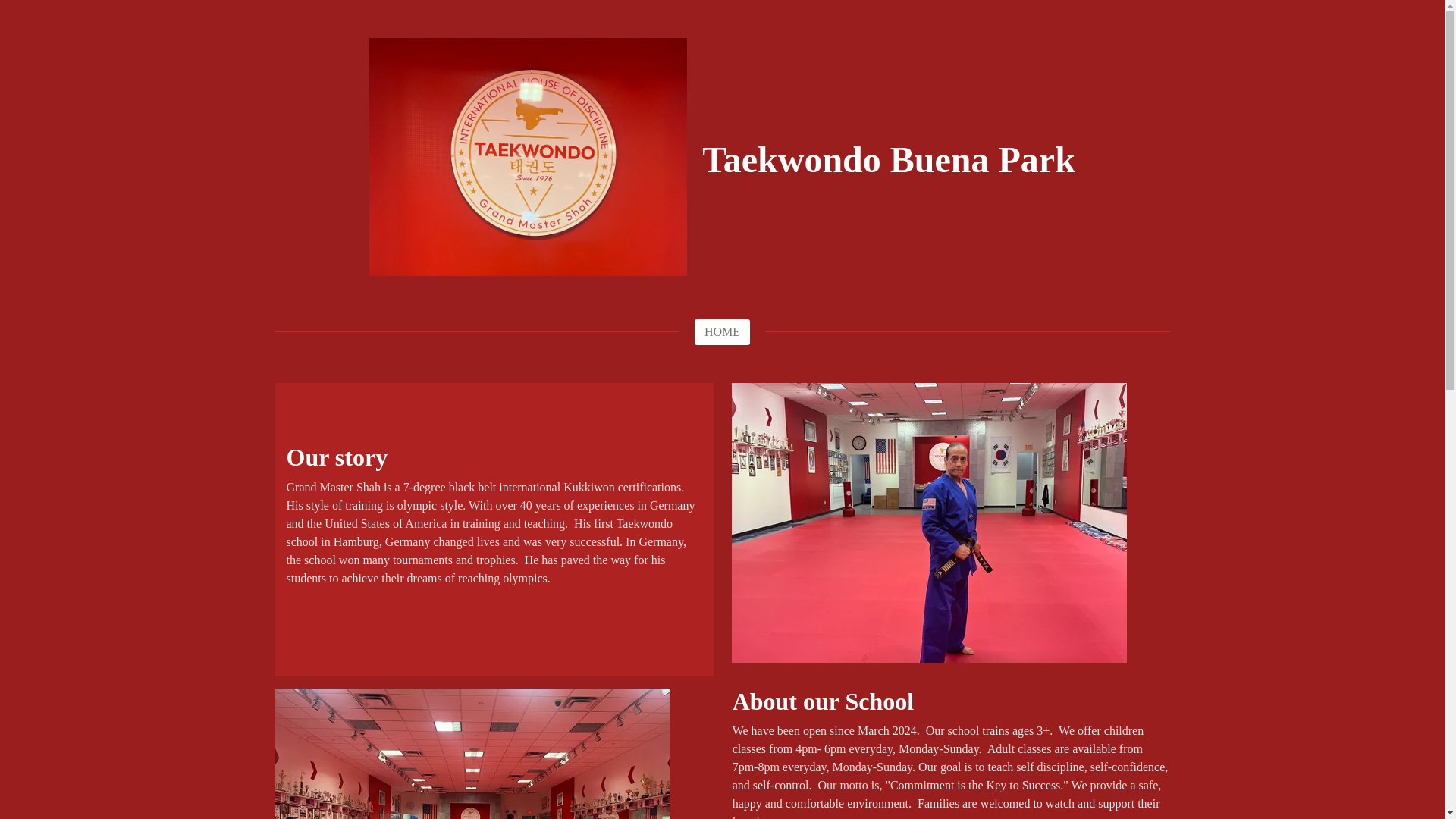 website screenshot of https://taekwondobuenapark.com/
