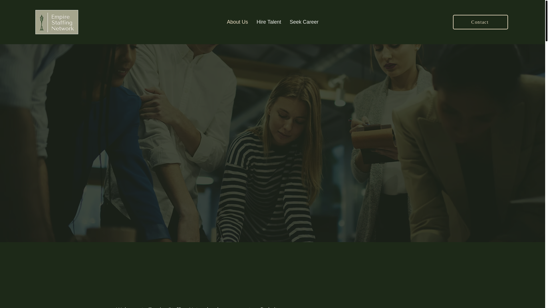 website screenshot of https://staffnetworkteam.com/