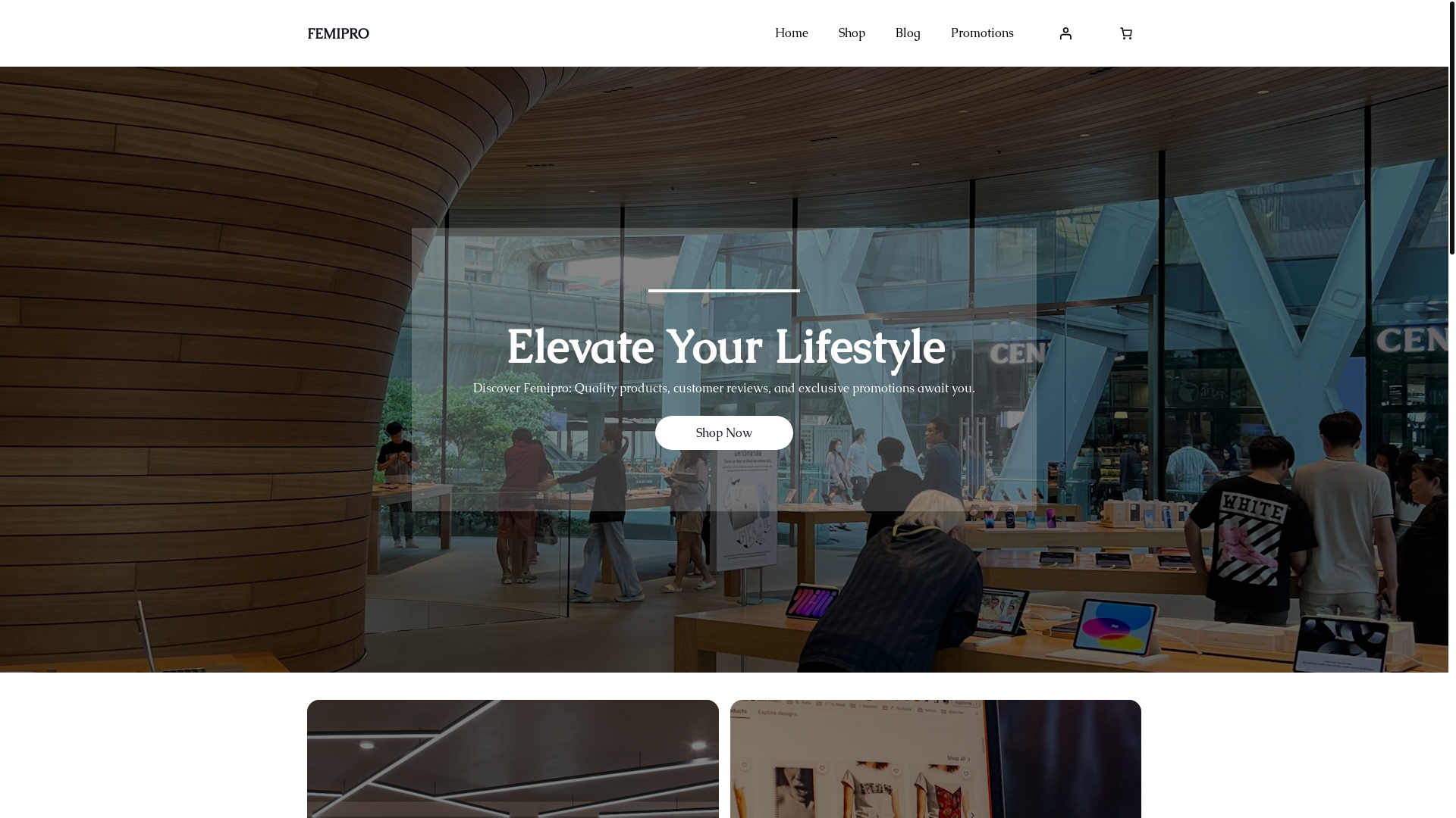 website screenshot of https://buywithsafe.store/