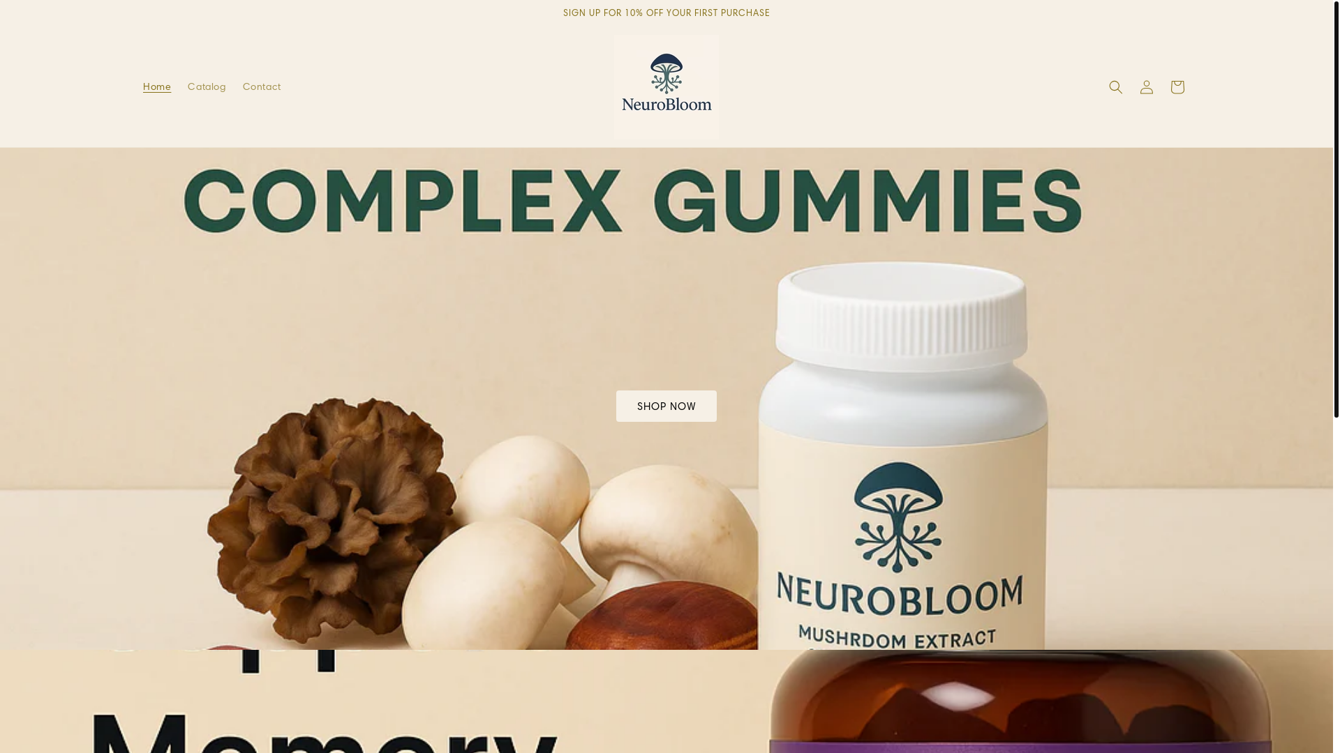 website screenshot of https://neurobloom1.com/