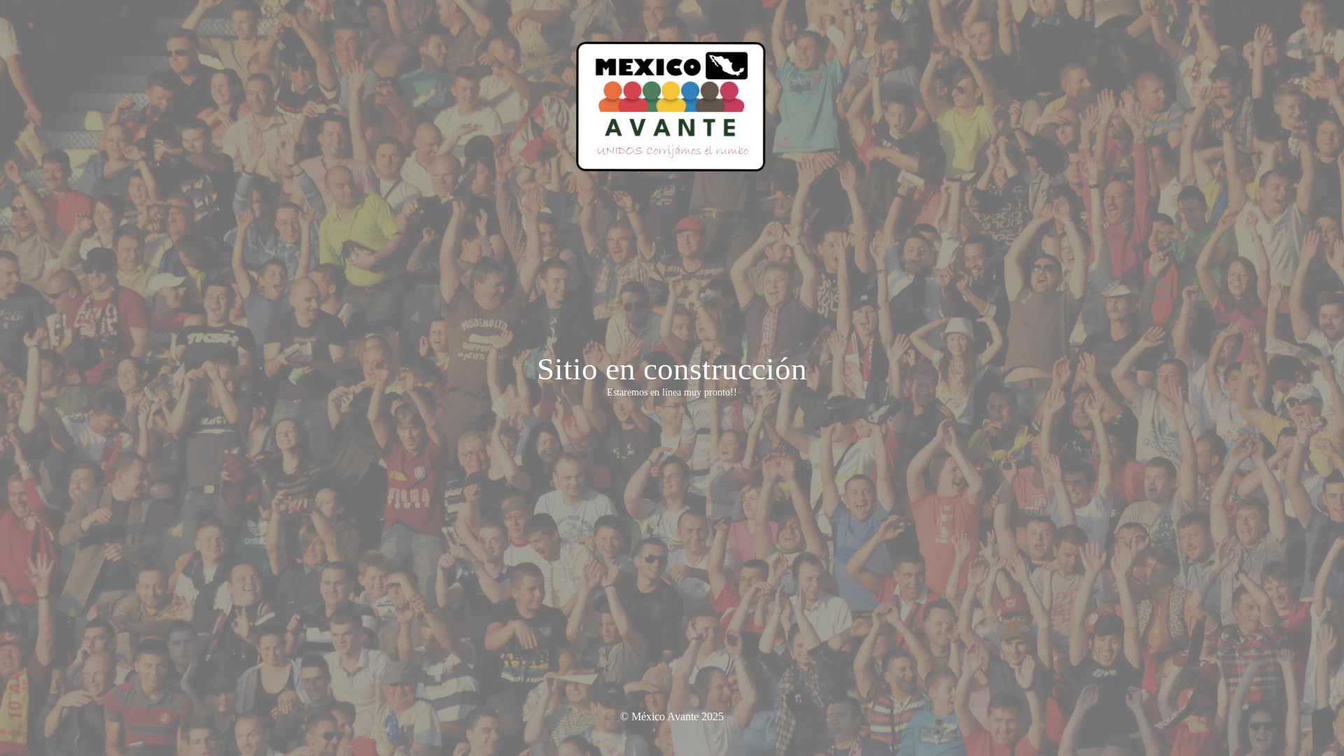 website screenshot of https://mexicoavante.com/
