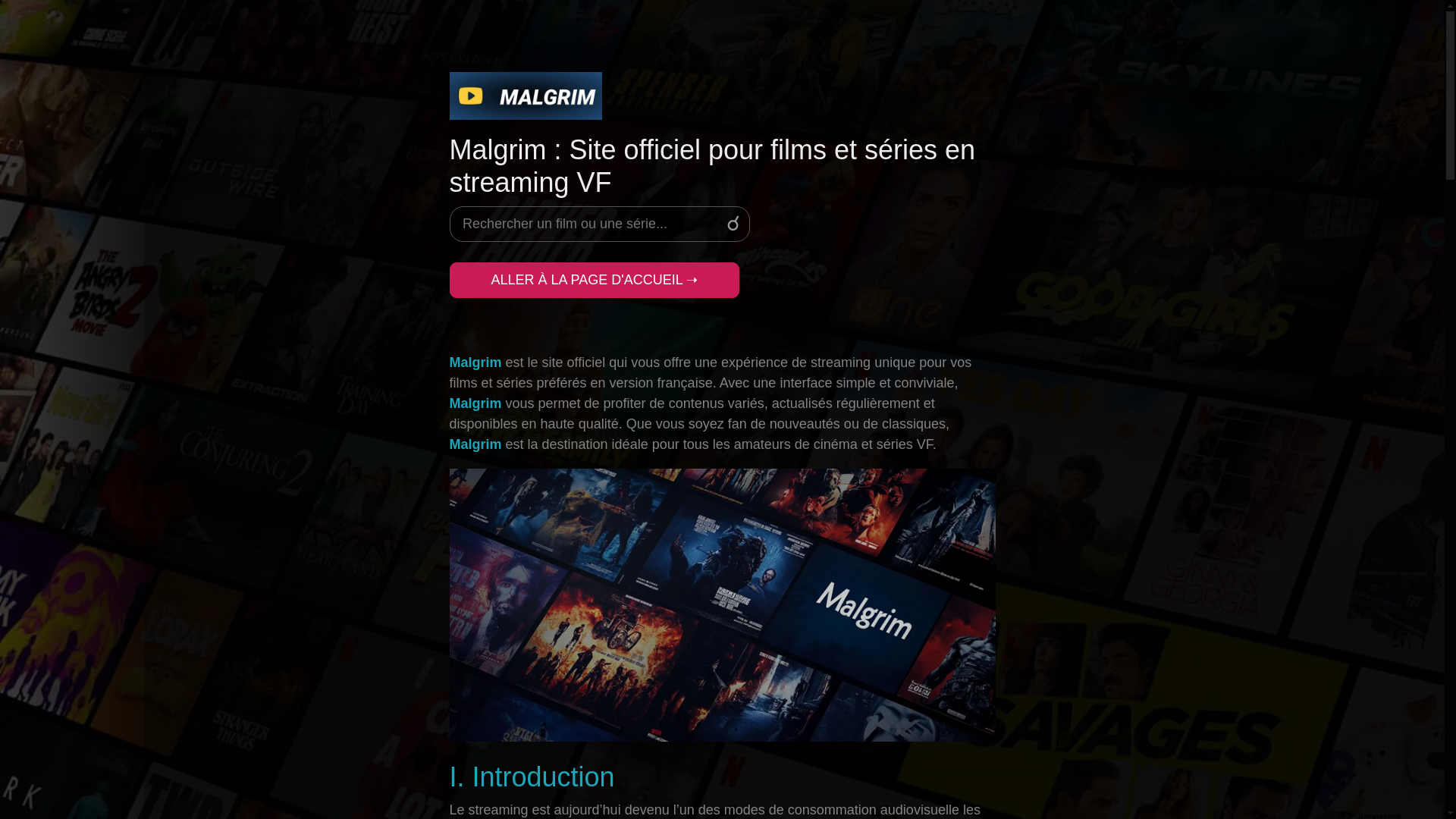 website screenshot of https://malgrim-store-fh6.pages.dev/
