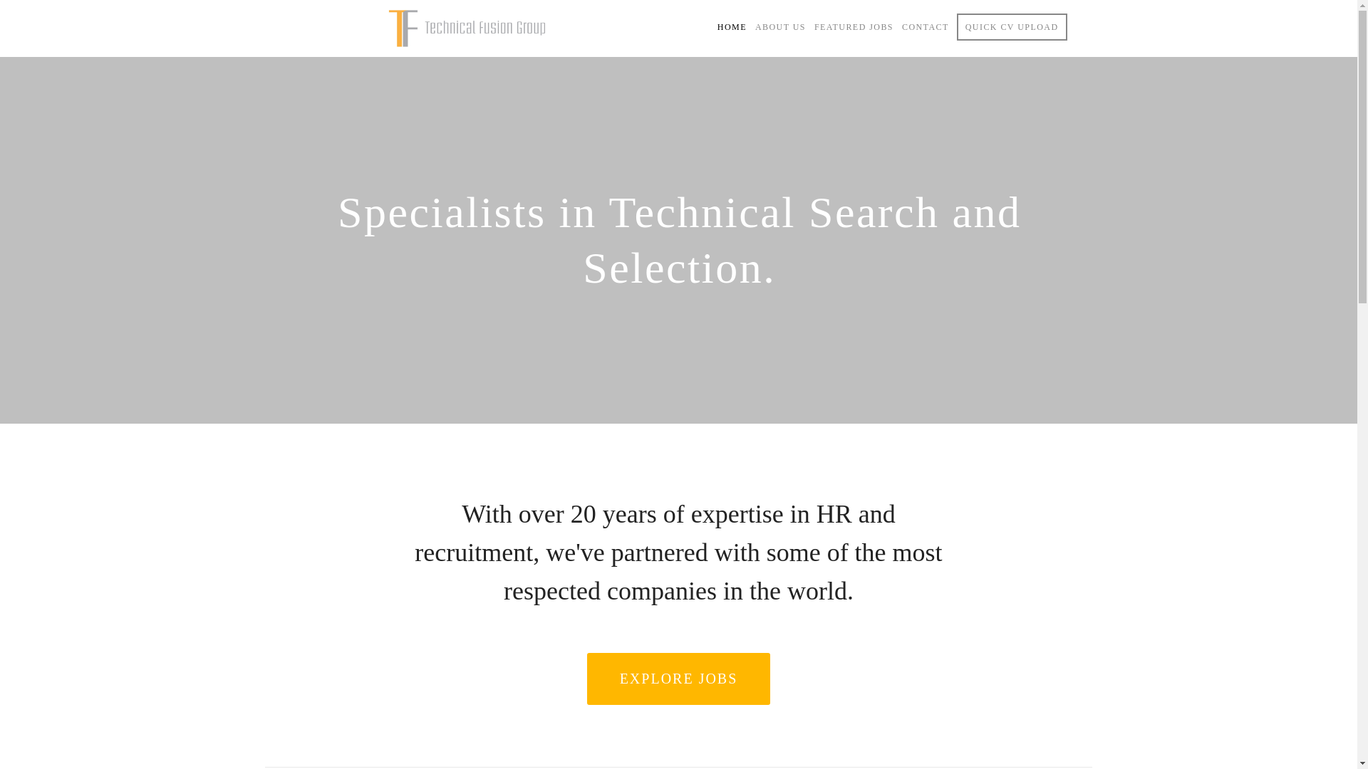 website screenshot of https://technicalfusion.com.au/