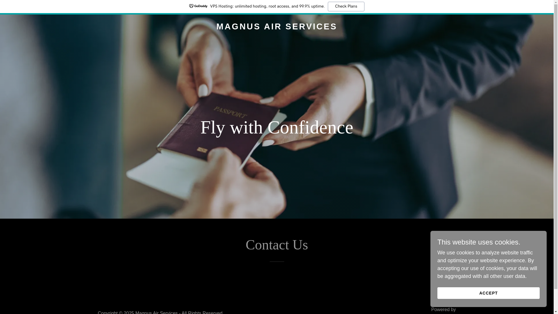 website screenshot of https://magnusairservices.in/