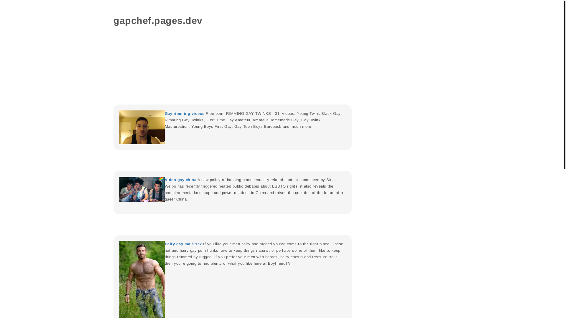 website screenshot of https://gapchef.pages.dev/