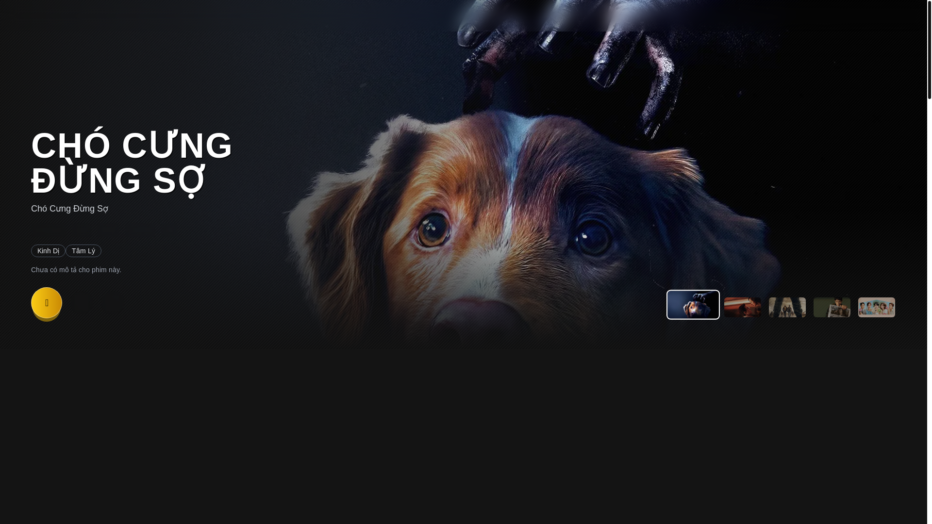 website screenshot of https://devzed.me/