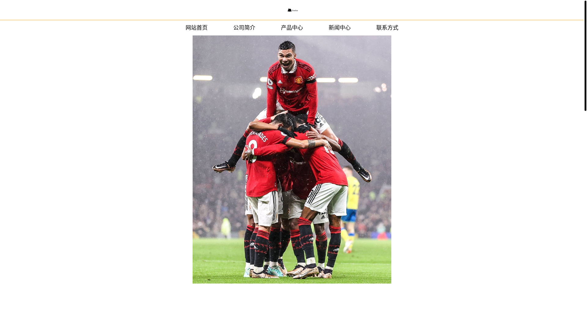 website screenshot of https://pc-wpk.com/