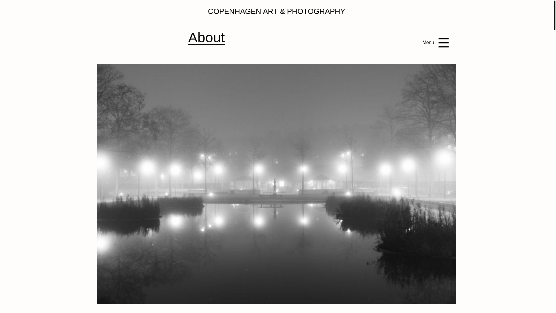 website screenshot of https://bergholt.net