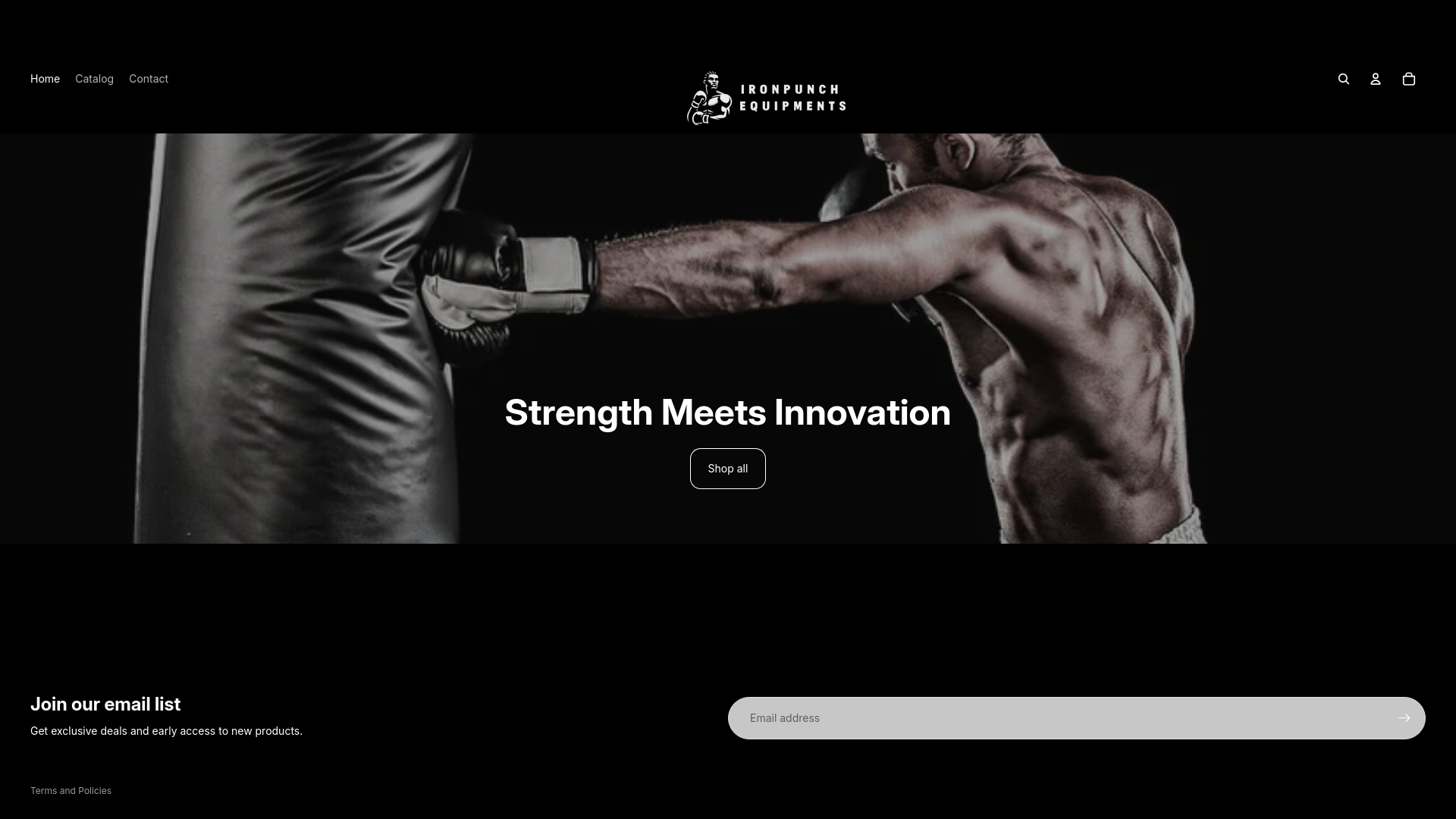 website screenshot of https://ironpunchequipments.store/