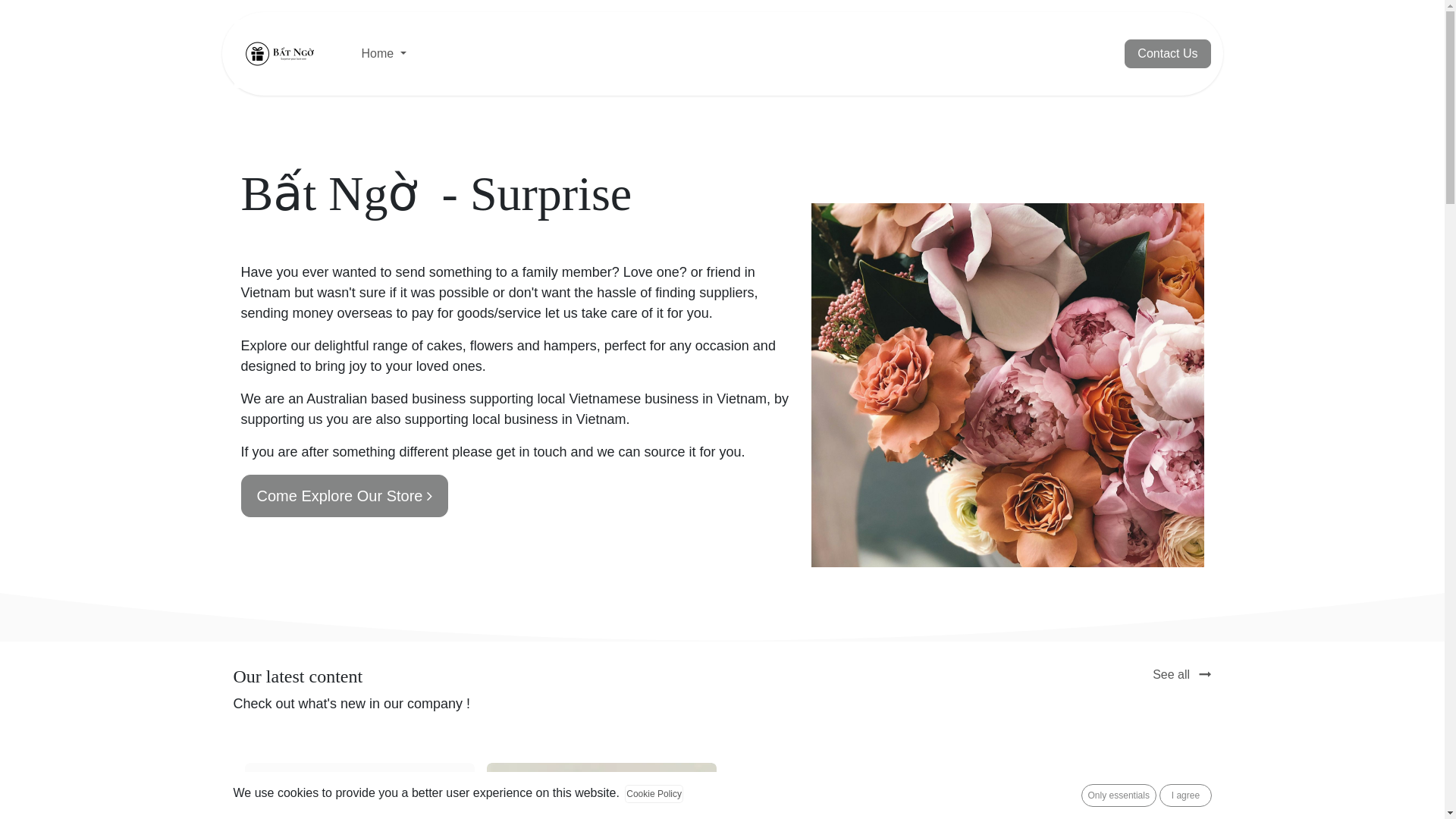 website screenshot of https://batngo.online/