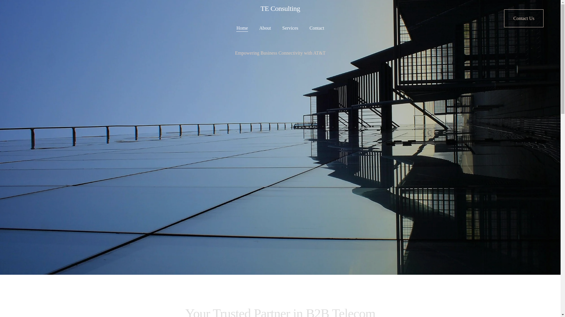 website screenshot of https://teconsultinginc.org/
